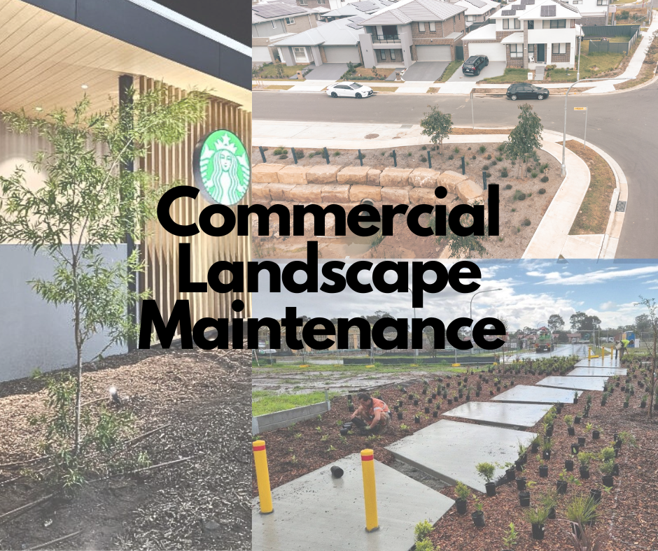 Copy of Untitled Design (1).png