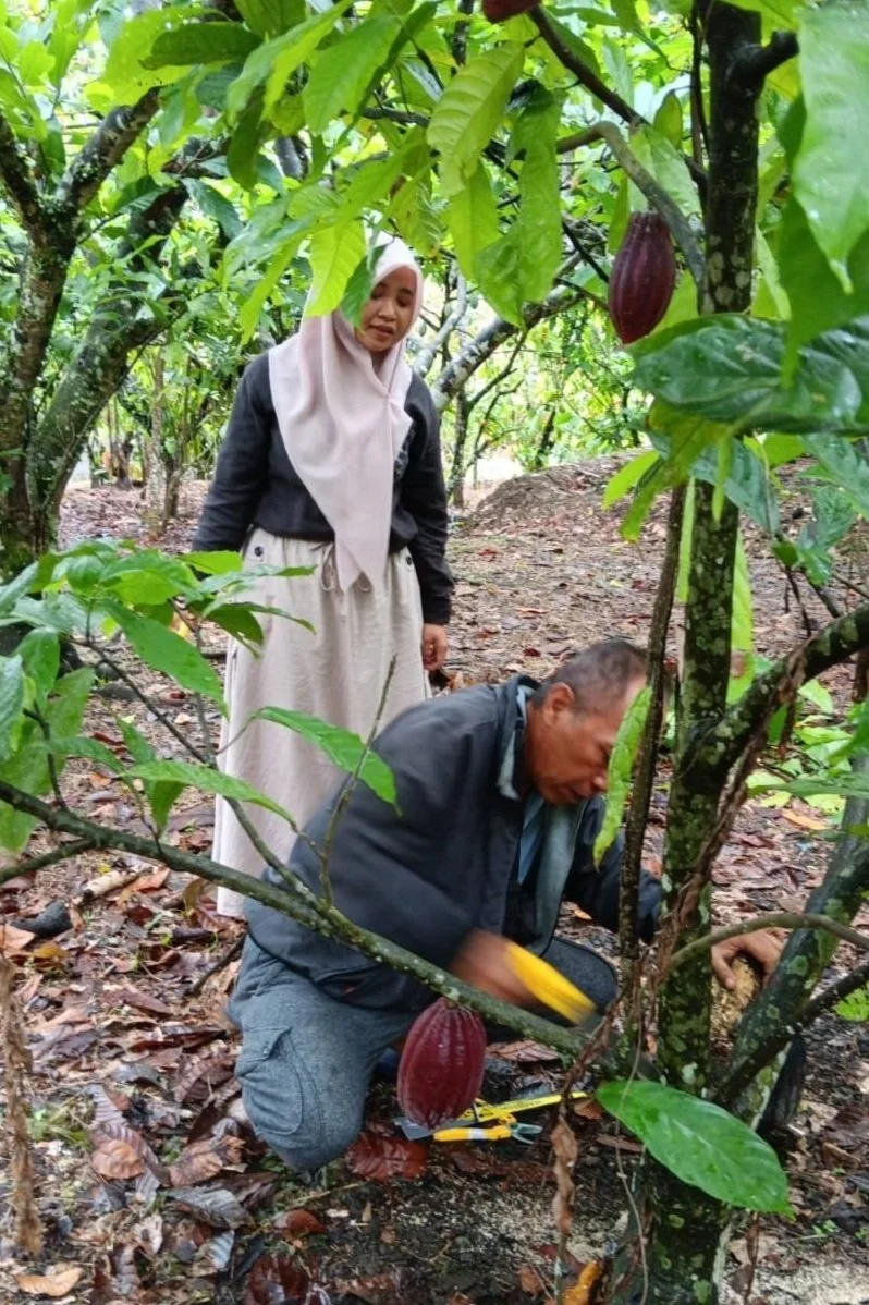 WhatsApp Image 2024-06-24 at 10.50.15 AM.jpg