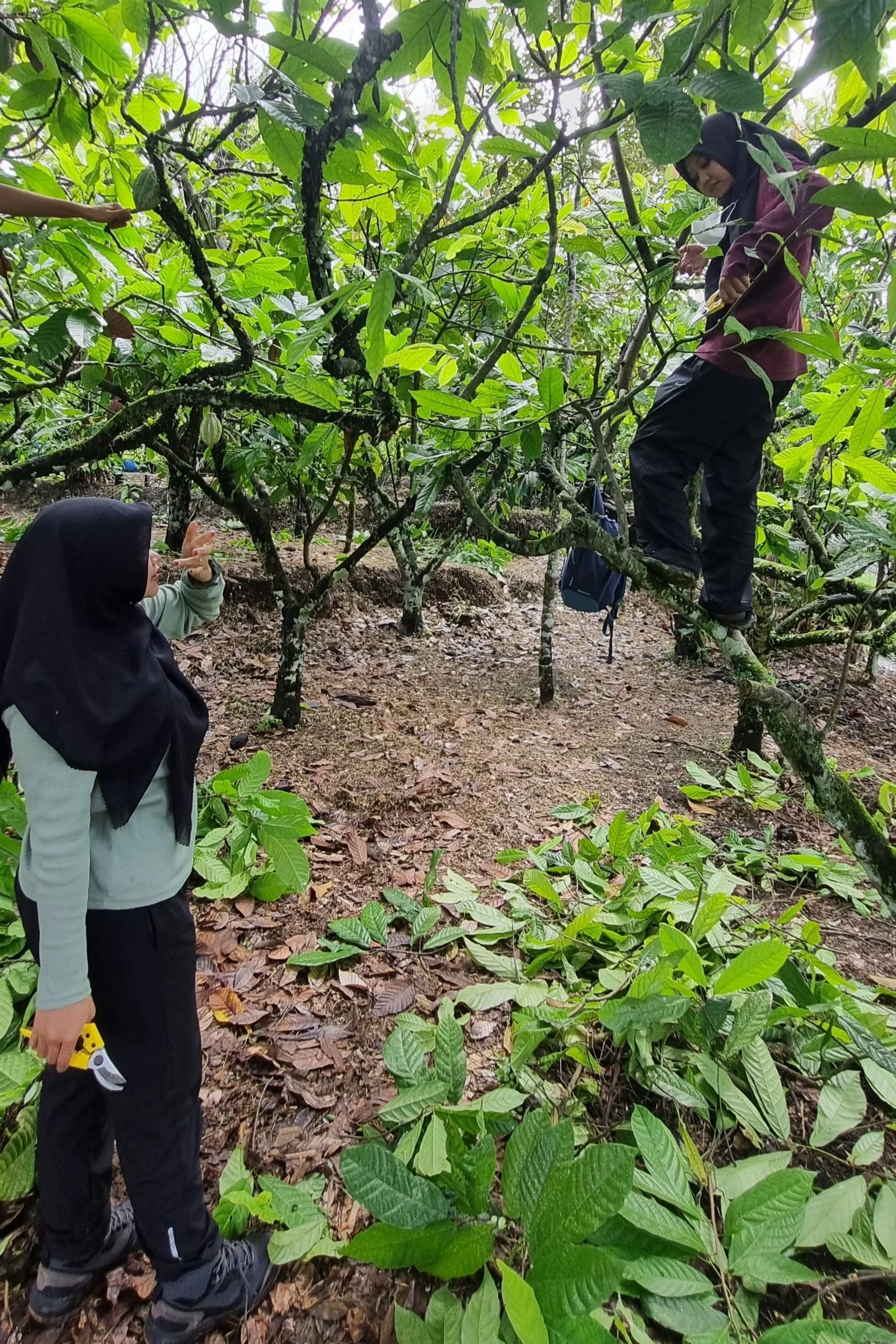 WhatsApp Image 2024-07-02 at 09.36.02.jpg