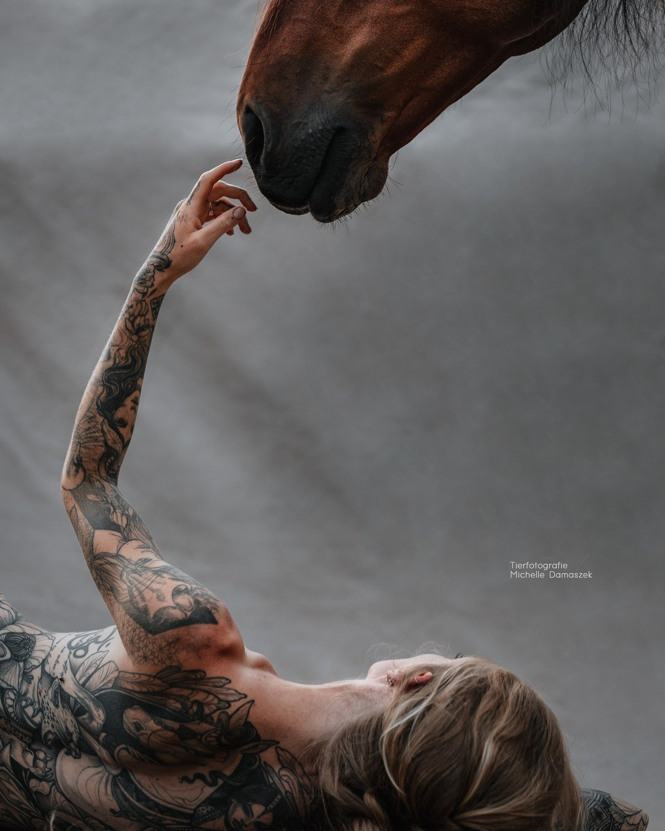 Ich h&auml;tte wirklich Lust mal wieder etwas andere Bilder zu machen, so wie die beim Workshop von @dianawahl_photography mit @equilibertyofficial 

Wenn du Lust drauf hast, dich super wohl vor der Kamera f&uuml;hlst und dein Pferd geduldig mitmacht