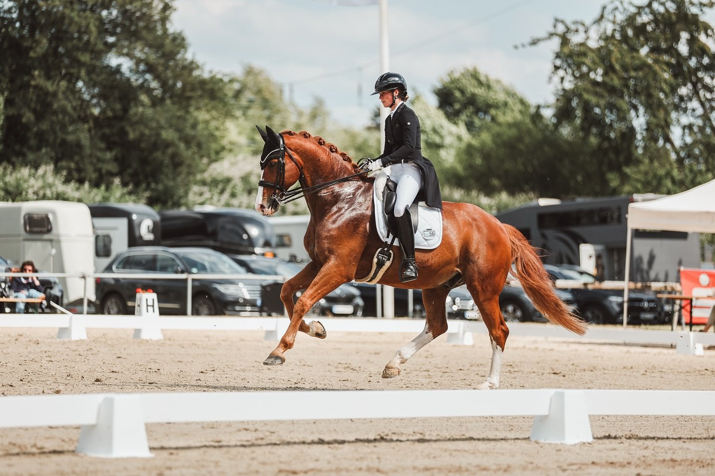Dressur Tag beim @reitercorps_lintorf_ev ❤️
Gestern standen neben den &ldquo;normalen&rdquo; Dressurpr&uuml;fungen am Vierecke auch drei Dressurpr&uuml;fungen auf dem Hauptplatz mit aufgebautem 60er Viereck an. Darunter eine Reitpferdepr&uuml;fung, M