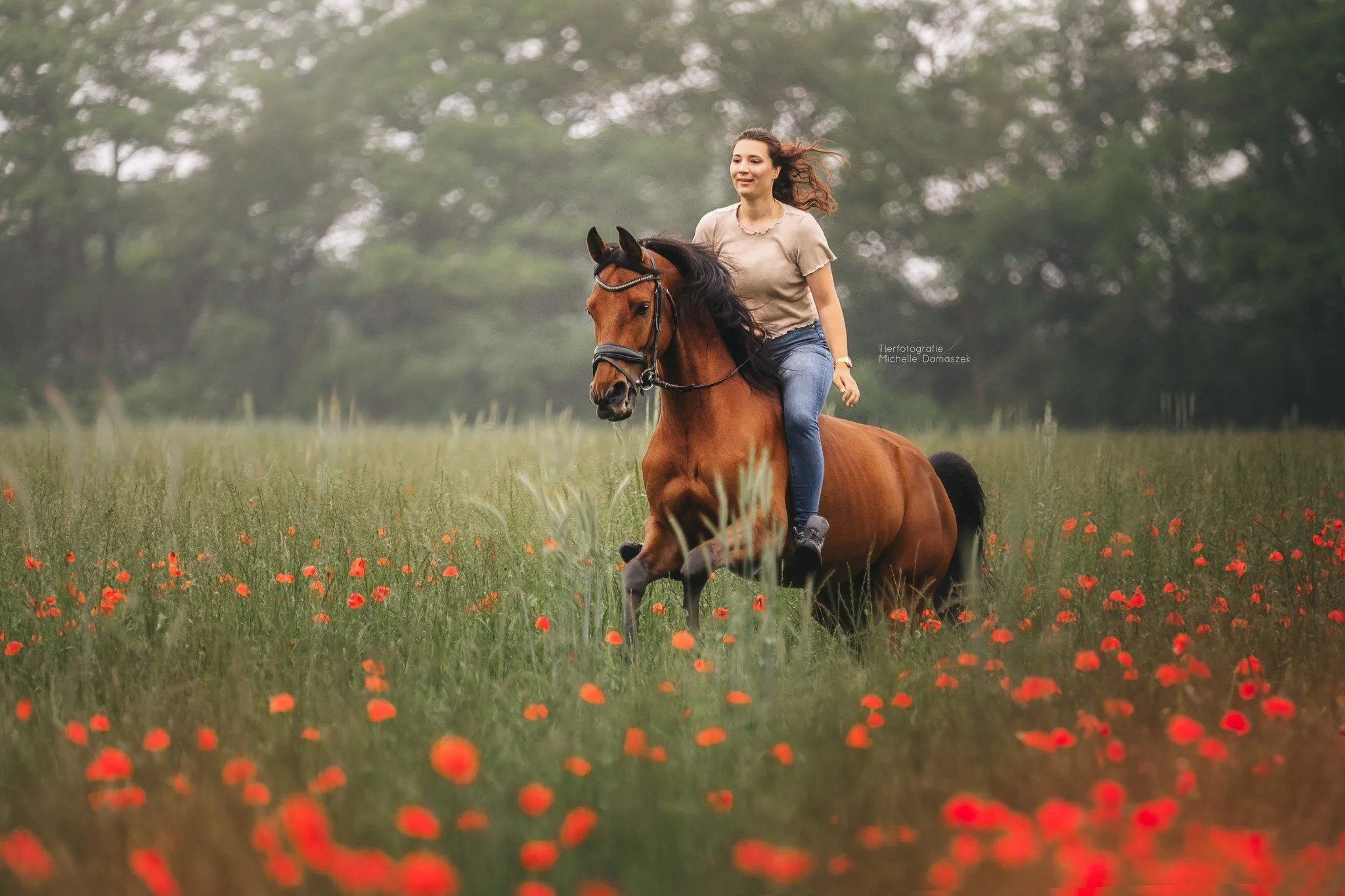 letztes Jahr um diese Zeit durfte ich f&uuml;r ein paar Fotoshootings ein Mohnfeld nutzen und das war sch&ouml;n ❤️ So eine Location ist auch f&uuml;r mich jedes Mal ein Traum

#pferdefotografienrw #tierfotografie #pferdem&auml;dchen #equinephotograp