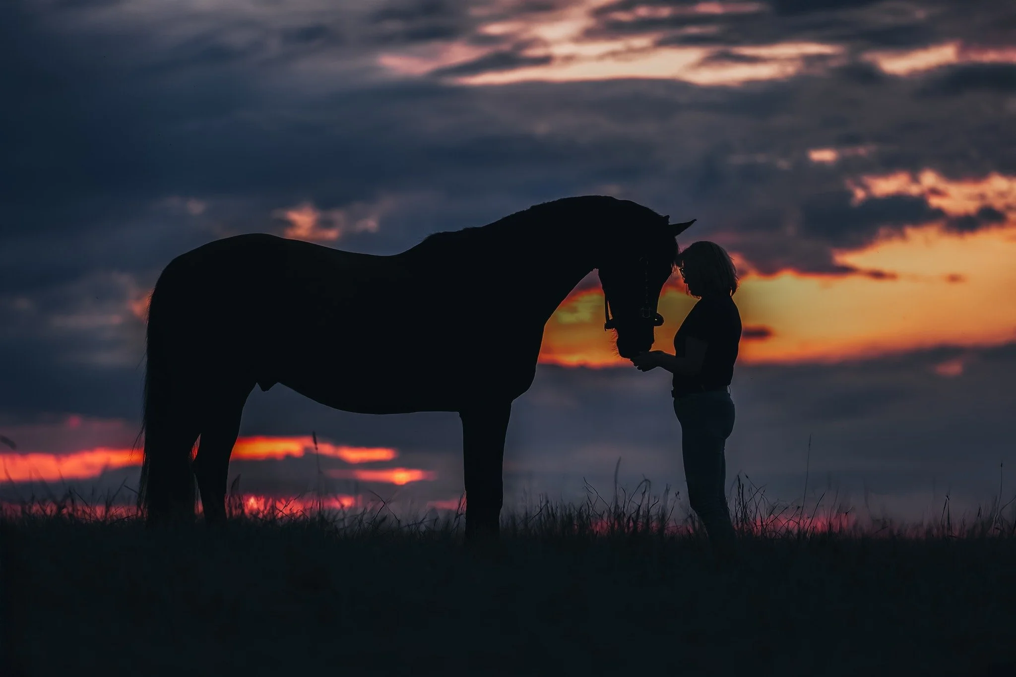 Wenn Himmel und Erde sich ber&uuml;hren, bleiben nur Schatten &ndash; und das Gef&uuml;hl von Freiheit. 🌫️🐎
Dramatische Wolken, ein Himmel voller Bewegung, und mittendrin zwei, die nichts sagen m&uuml;ssen, um verbunden zu sein.
Solche Silhouetten 