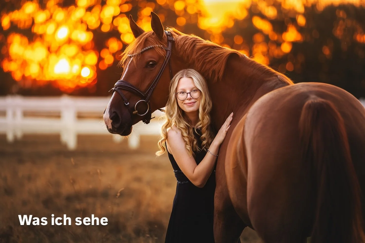 Was ich sehe vs. Was du siehst wenn du mich beim Fotoshooting begleitest 

#tierfotografie #pferdefotografie #dressurpferd
