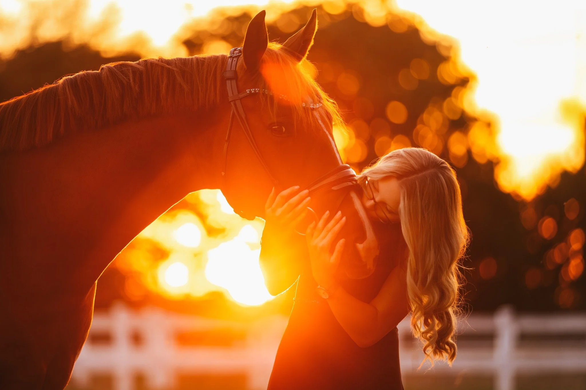 Einfach perfektes Sonnenuntergangslicht 😍 besser h&auml;tten wir uns es f&uuml;r diesen Abend nicht w&uuml;nschen k&ouml;nnen

#tierfotografienrw #pferdefotografie #dressurpferd