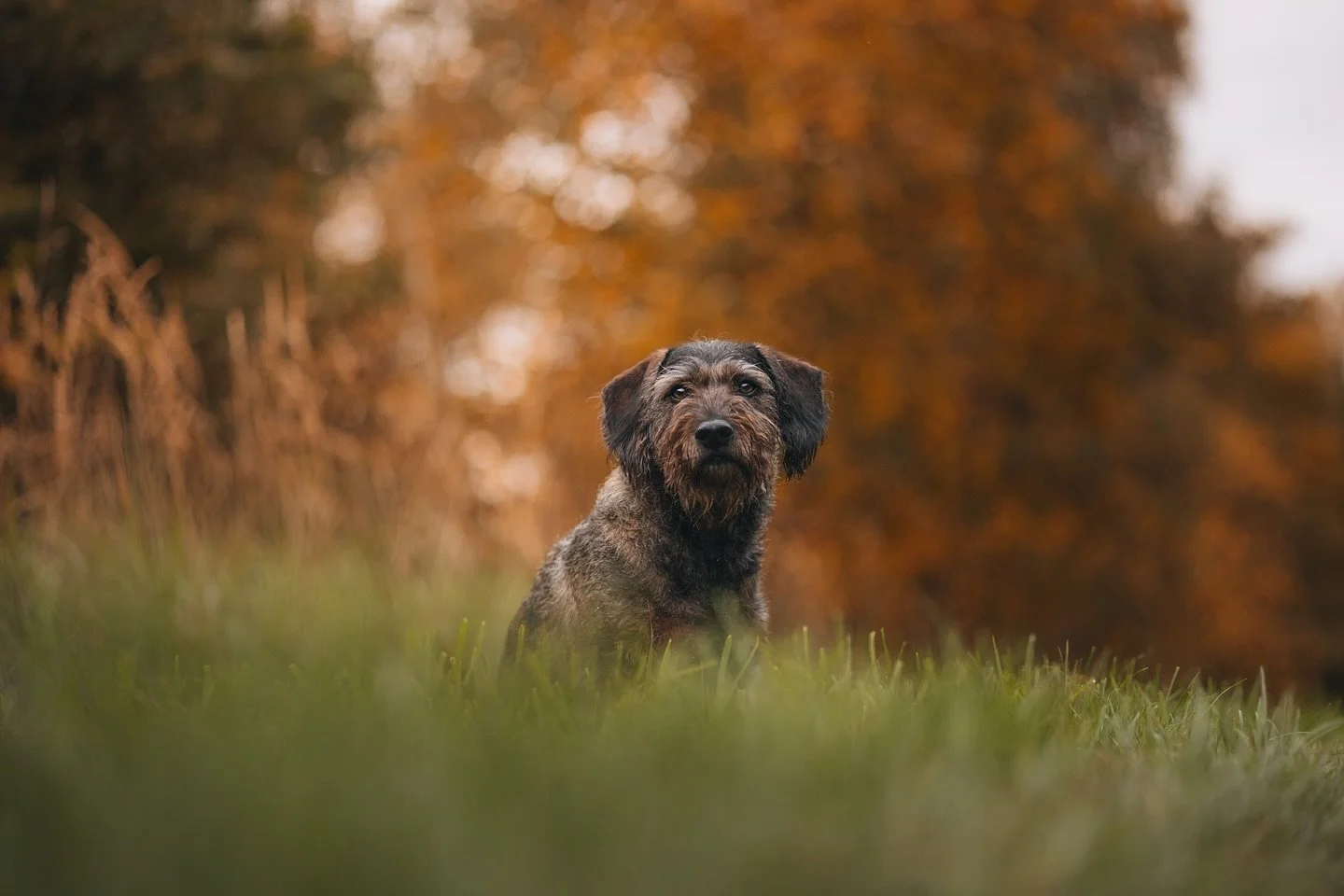 Wie viel die Fotografie mir bedeutet, merke ich vor allem, wenn ich die Kamera mal nicht in der Hand halten kann. 
Mich hatte es vor ein paar Wochen so sehr erwischt, dass ich zum ersten Mal Fotoshootings aus gesundheitlichen Gr&uuml;nden verschieben