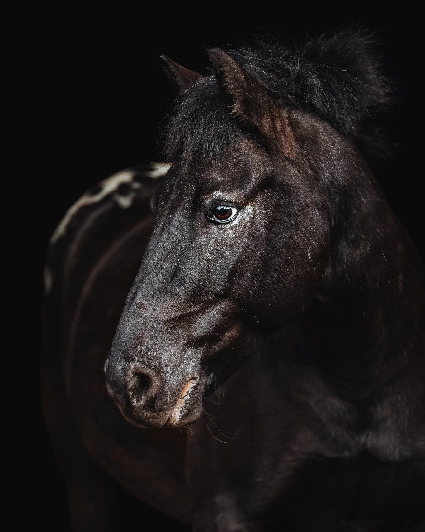 Elegante und zeitlose Portraits vor Schwarz in Studiooptik sind einfach ein Highlight
Etwas, das man nicht nur auf dem Handy angucken und posten, sondern an die Wand h&auml;ngen m&ouml;chte. Oder wie in dem Fall: An den Anh&auml;nger 😱😍
Ich bin sch