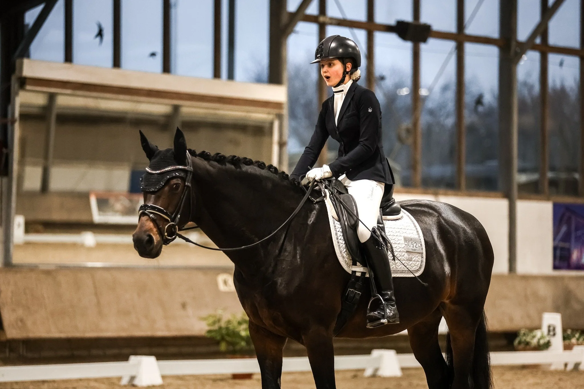 POV Du erh&auml;ltst die Traumnote 8,8 😱
Tolle Paare hatte ich beim 8er Team Rheinland vor der Kamera ❤️
Die Bilder findet ihr in meiner Online Galerie, der Link dazu ist in meiner Story und auf meiner Website

#turnierfotografienrw #dressurpferd #8