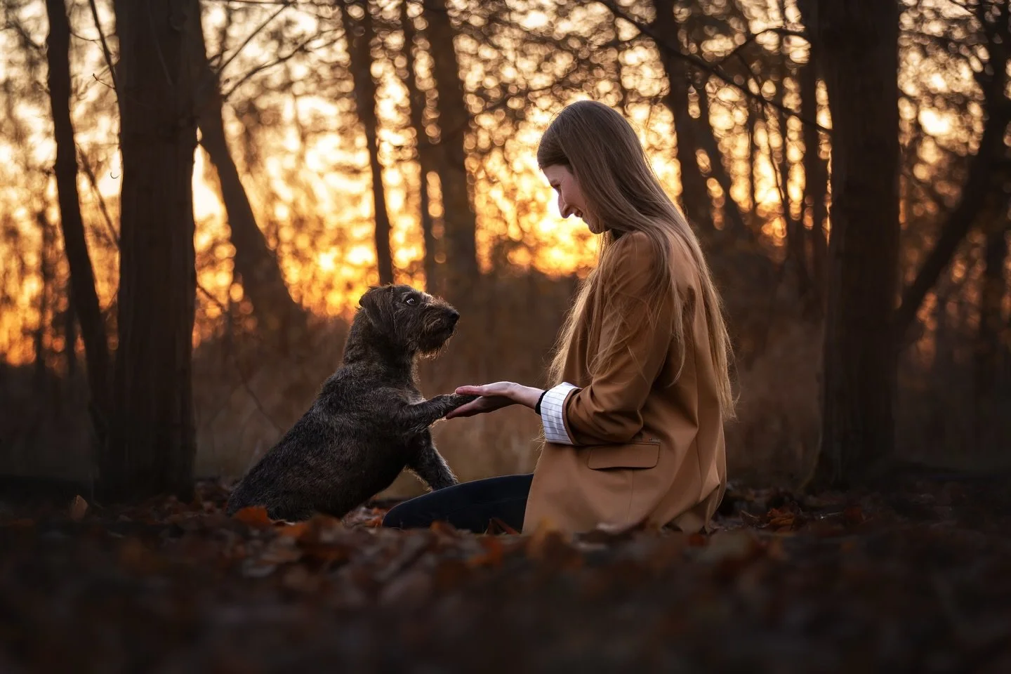 Mein liebster Winterlicht-Foto-Spot ❤️
Gestern mit meinem Liebling Mogli, vor zwei Jahren mit dem lieben Mylo, mit dem ich diese Stelle auf der Suche nach sch&ouml;nem Gegenlicht gefunden habe. Letztes Jahr habe ich es einfach nicht geschafft mit Mog