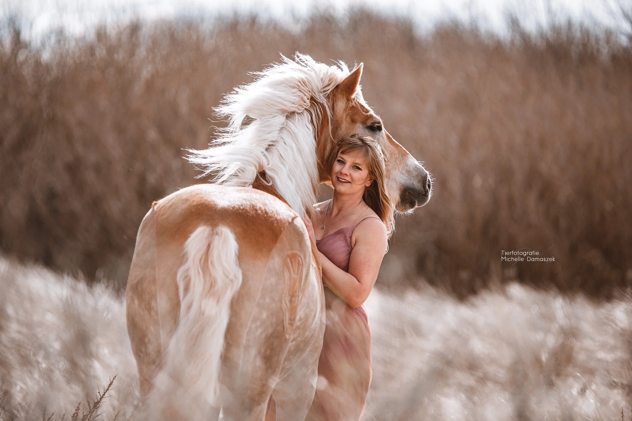 Rennesse Fr&uuml;hjahr 2026 - So l&auml;uft es ab

Sobald wir gemeinsam ein Wochenende festgelegt haben, beginnt die Planung und damit die verbindliche Buchung. Dabei k&uuml;mmerst du dich eigenst&auml;ndig um eine Unterkunft f&uuml;r dich und dein P