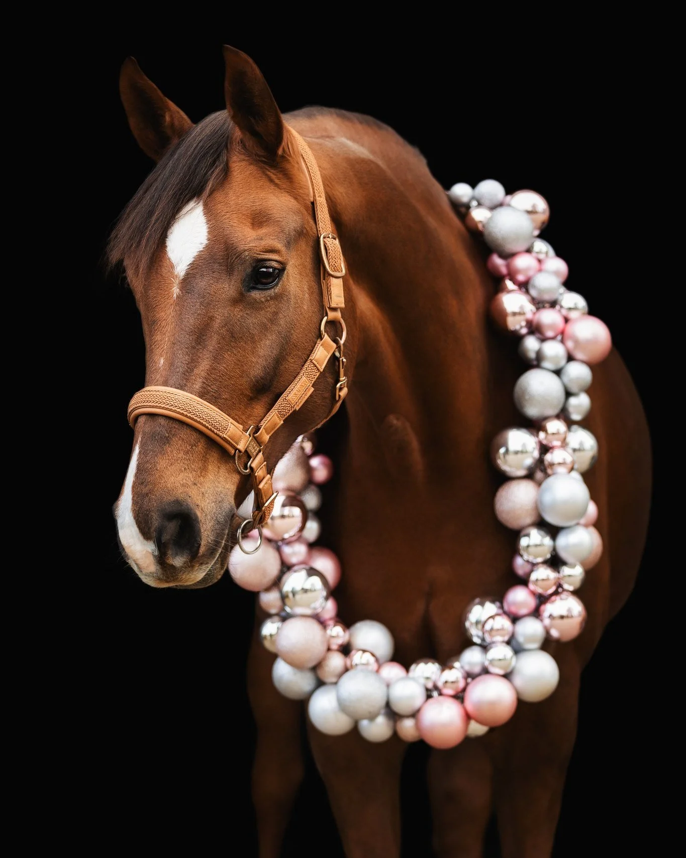 Sch&ouml;nen 2. Advent!

#kranzshooting #weihnachtsbilder