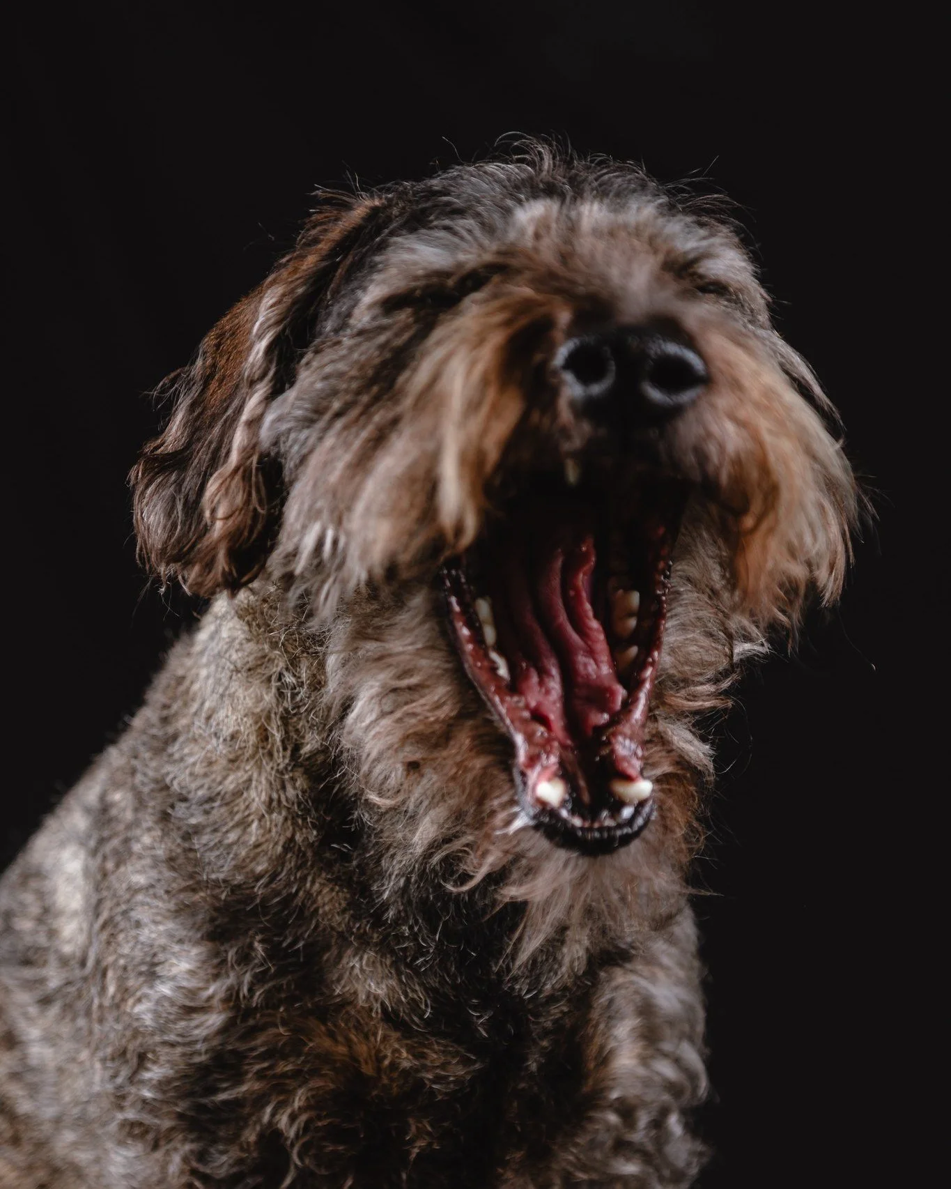 Frohes Neues Jahr 🎉🍾🎇
Na, seid ihr heute eher Bild 1 oder 2? 
Erz&auml;hlt doch mal, wie seid ihr ins neue Jahr gestartet? Gem&uuml;tlich, feucht fr&ouml;hlich oder laut? Und wie sieht es mit den guten alten Vors&auml;tzen, Zielen und W&uuml;nsche