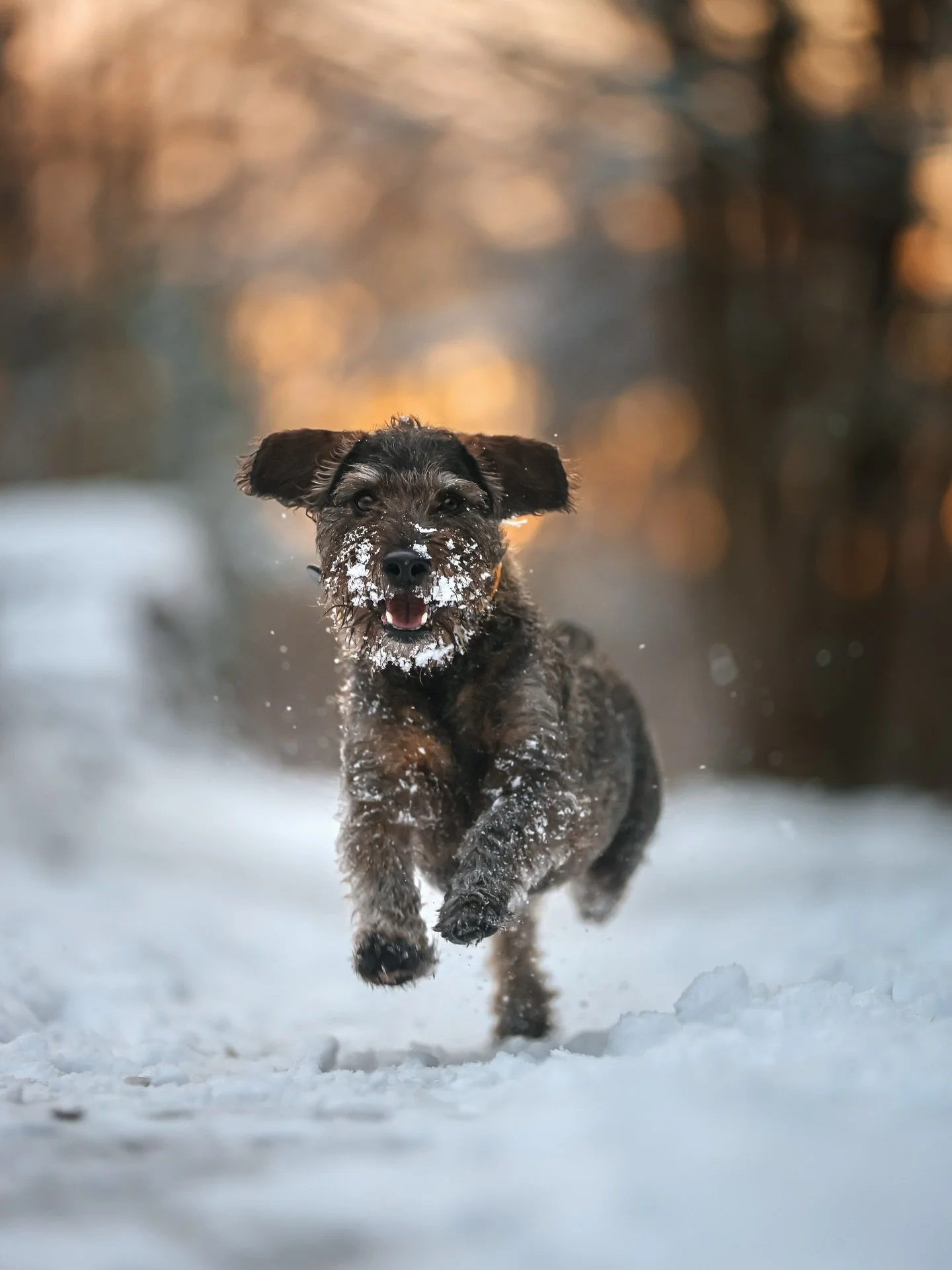 Schnee in der N&auml;he von D&uuml;sseldorf? Mit einem perfekte Sonnenuntergang? H&ouml;rt sich doch an wie ein sch&ouml;ner Traum. 
Schnee ist hier doch meist nur braune Matsche, und wenn doch mal kurz etwas liegen bleibt, ist der Himmel grau und am