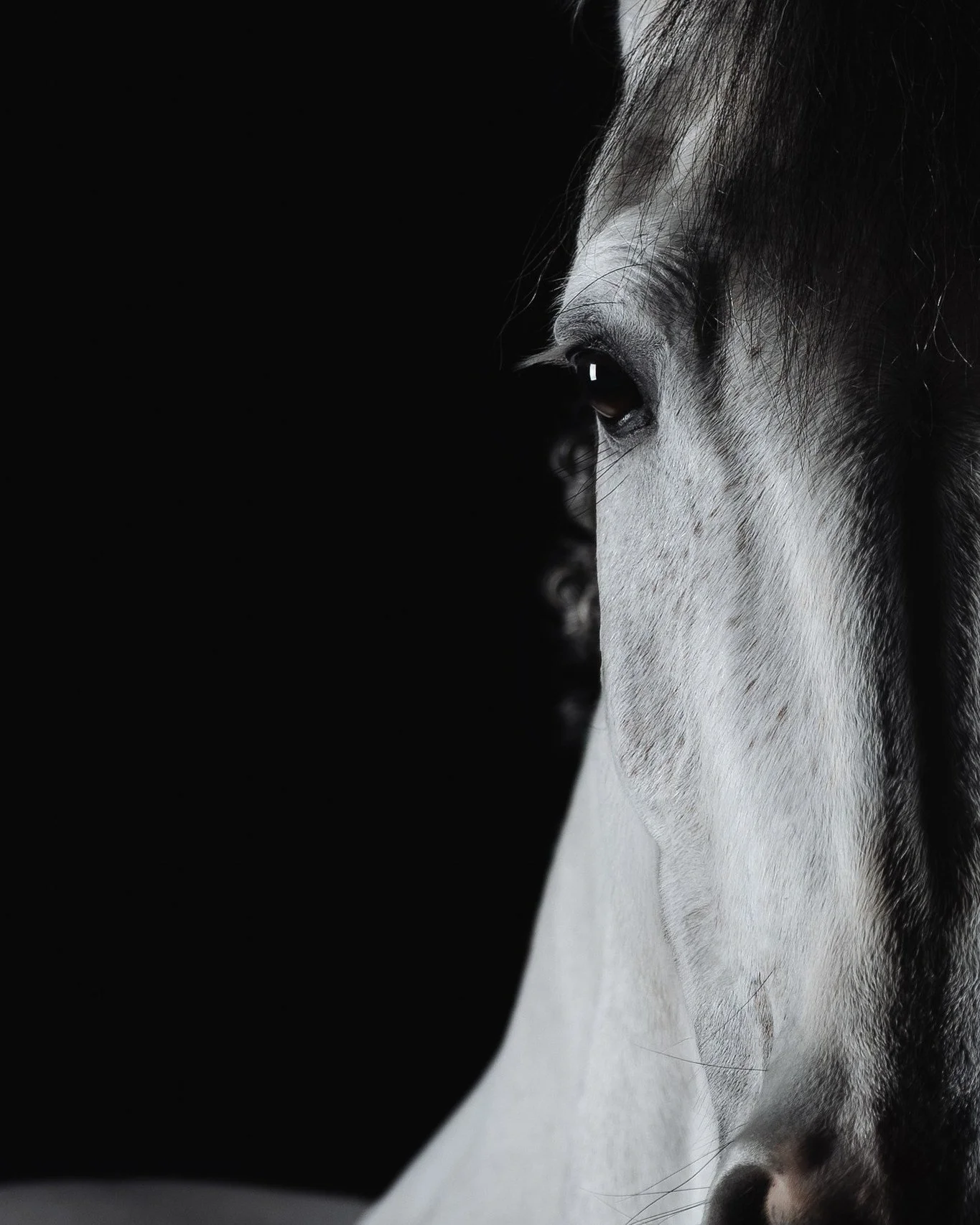 Was diese 3 Bilder verbindet ist wohl offensichtlich, oder? Anders als ich normalerweise arbeite, hatte ich hier bei den dreien einen konkreten Plan inkl. Skizze im Kopf, denn diese drei Bilder sollen eine Wohnzimmerwand versch&ouml;nern 😍
F&uuml;r 