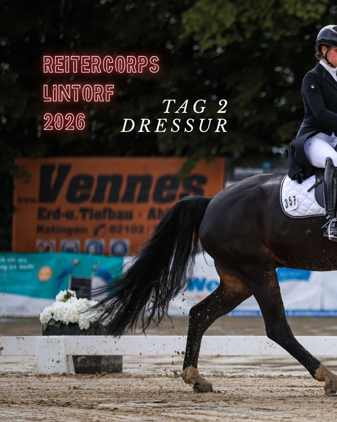 Tag 2/4 bei Reitercorps Lintorf: Heute auf dem gro&szlig;en Viereck 💃🕺
Viele tolle Pferde wurden heute super vorgestellt und sind &uuml;ber den Platz geschwebt. Bei manchen hab ich erwartet, dass jeden Moment die Fl&uuml;gel zu sehen sein werden. 
