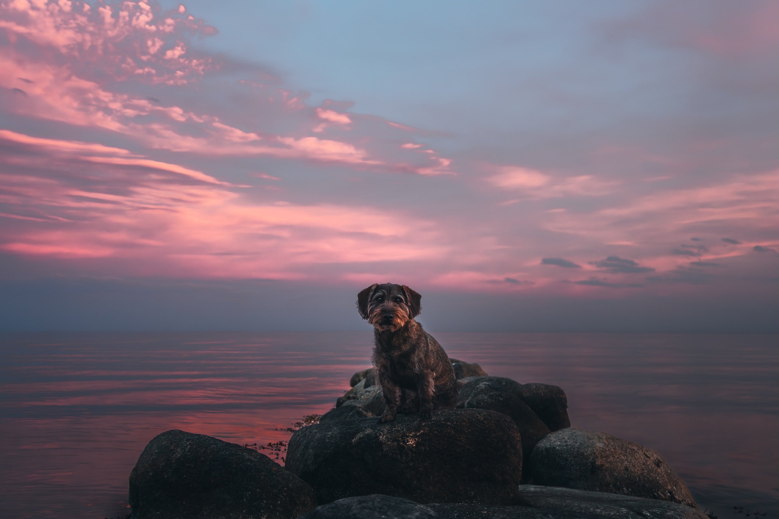 Mein Partner in Crime ❤️
Anfang Mai waren wir in Urlaub und haben diesen tollen Sonnenuntergang bestaunt. Aus Zeitmangel hab ich jetzt erst in die Bilder geguckt und ehrlich gesagt bin ich auch davon ausgegangen, dass sie nichts geworden sind. Als kl