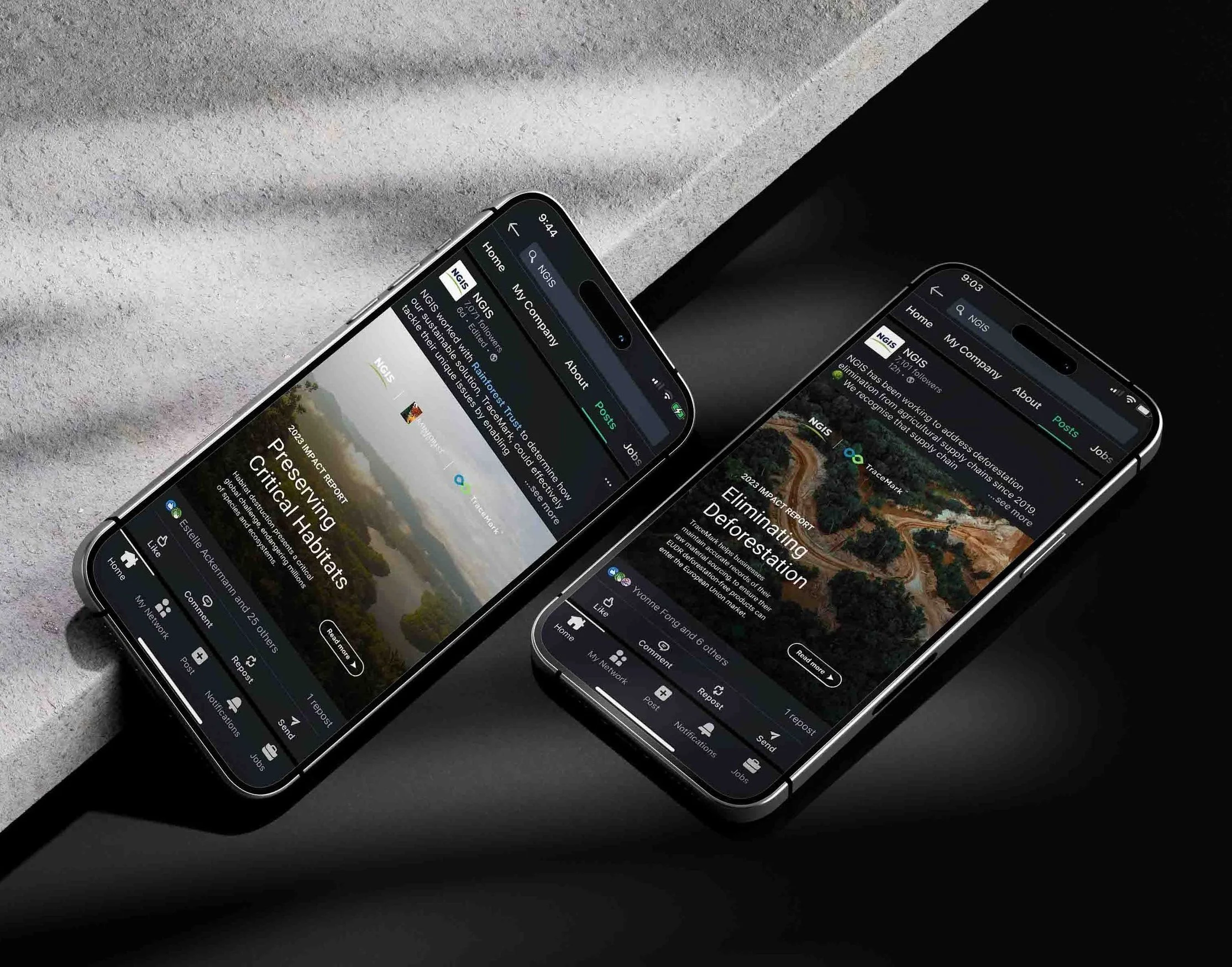 NGIS - Making Impact Through Geospatial