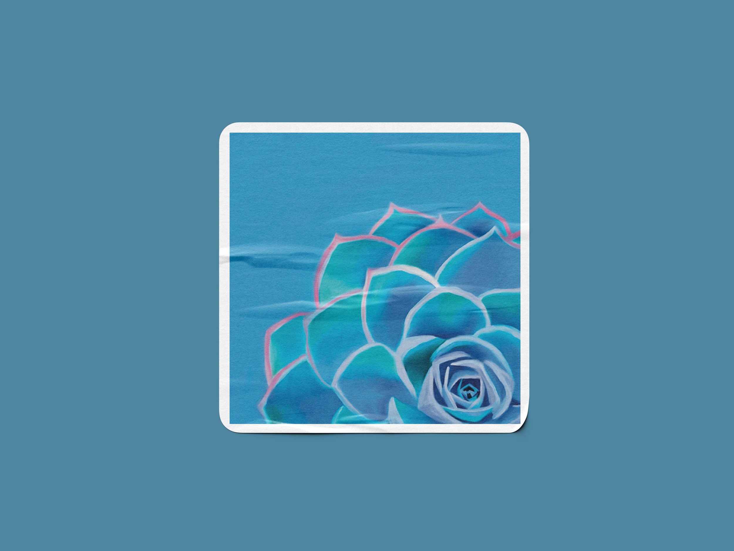 Square_Sticker_Mockup_1 compressed.jpg