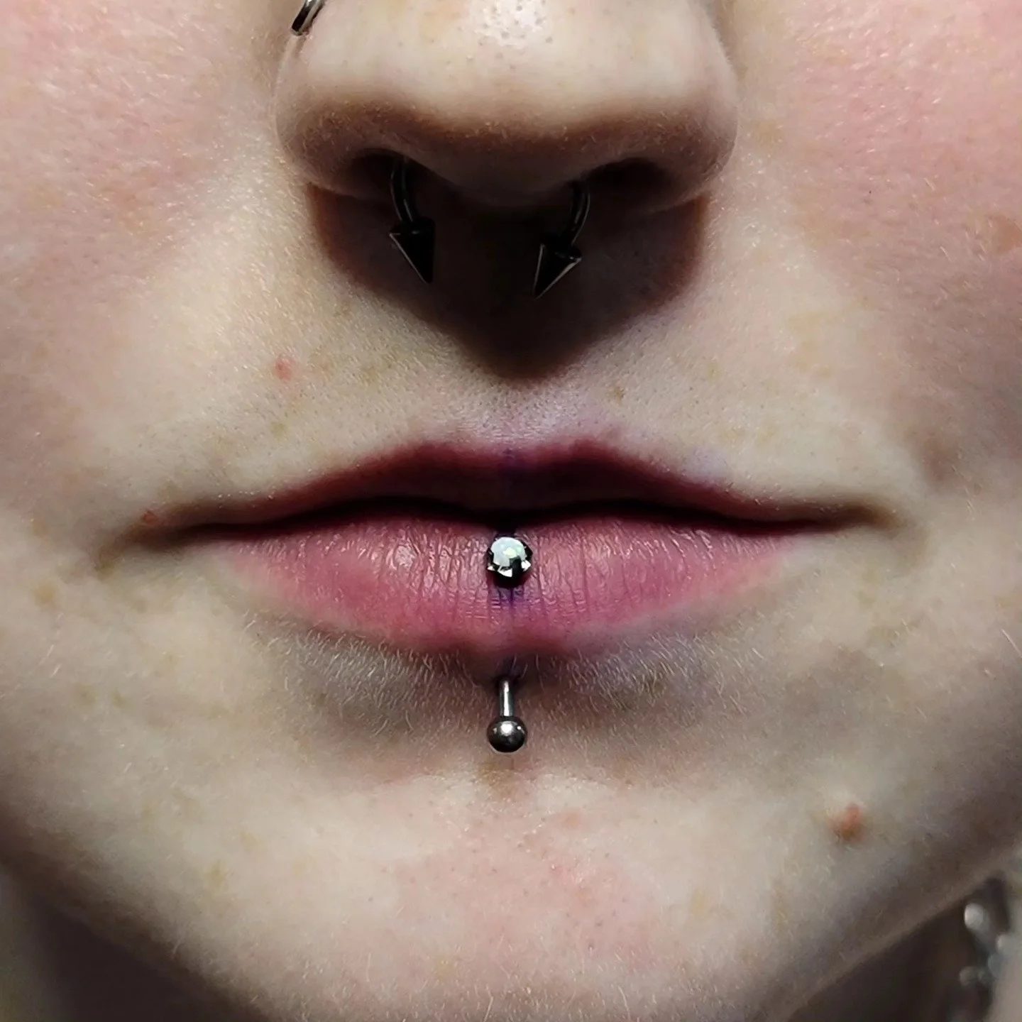 vertical labret.fb.jpg
