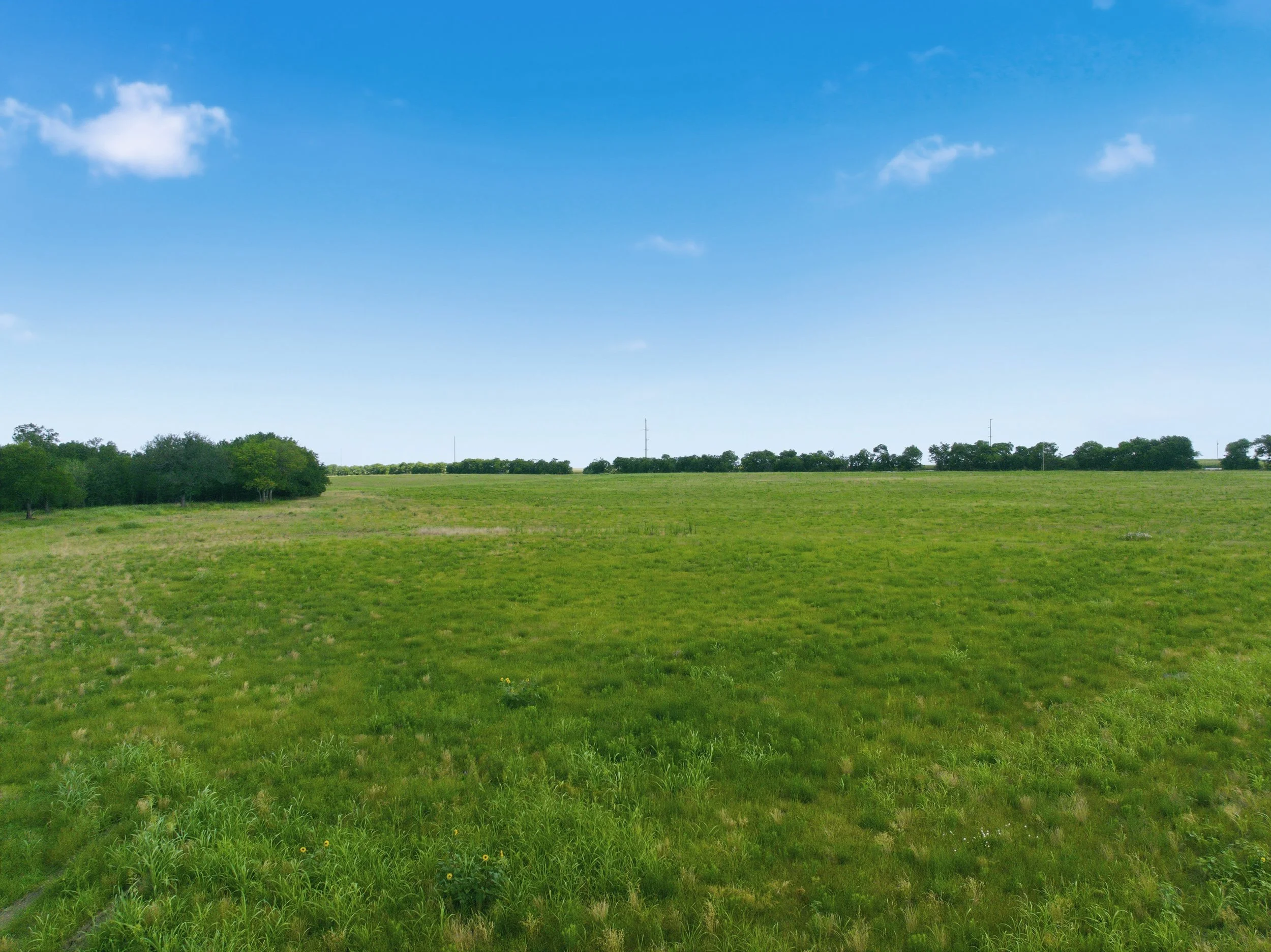 06-DJI_0726.jpg