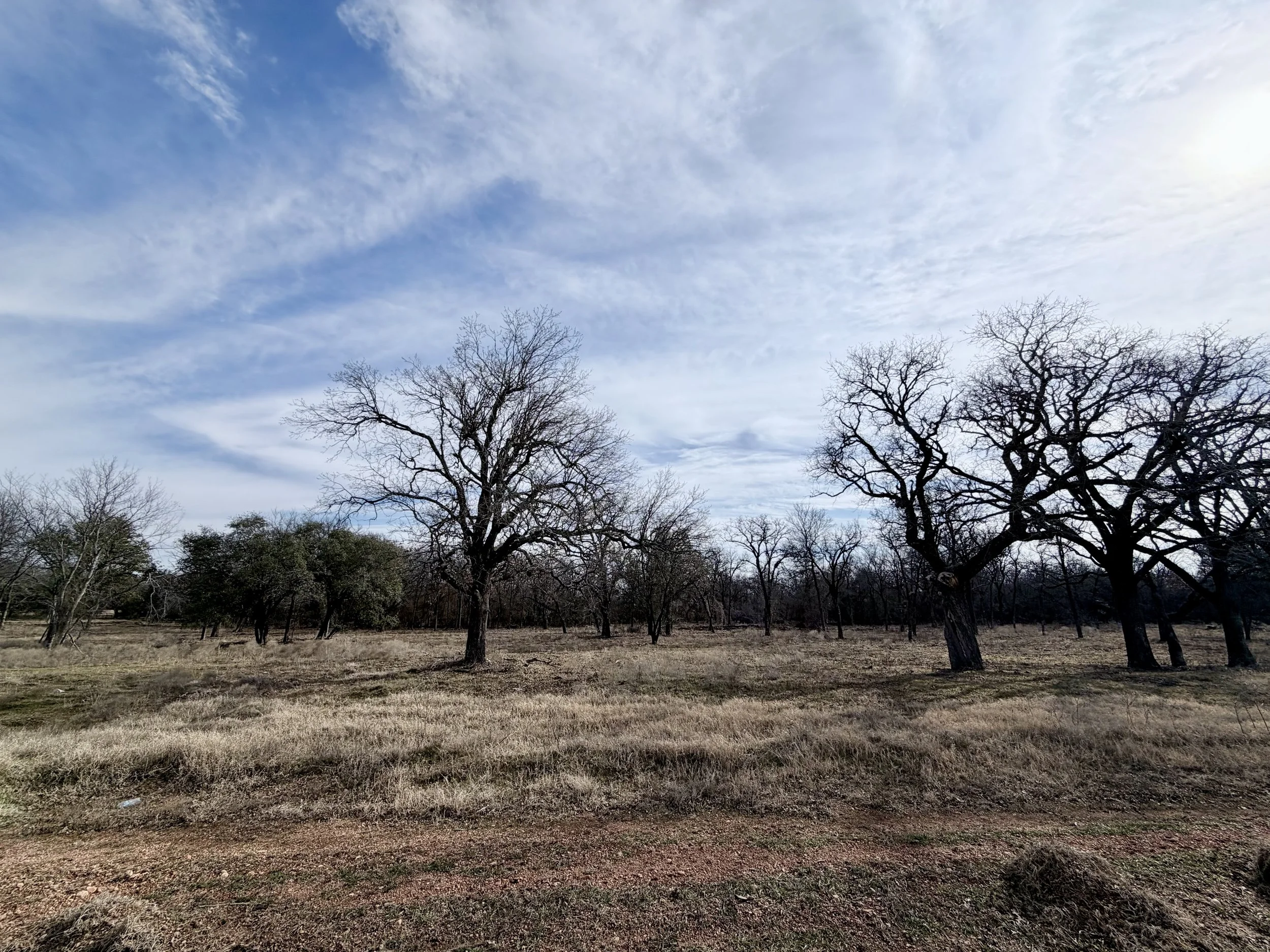 LW Lot 10 IMG_9447.jpeg