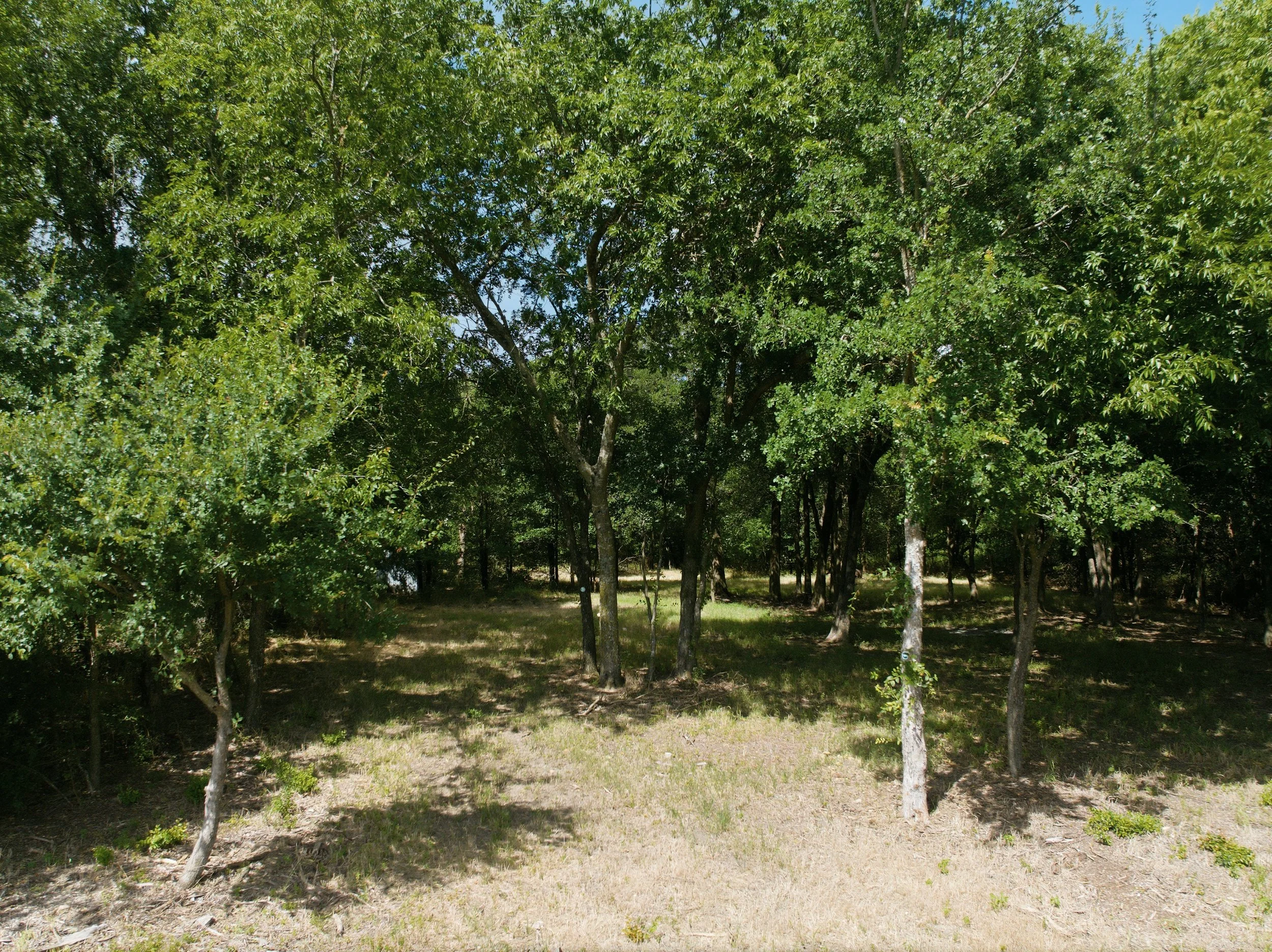 07-DJI_0728.jpg