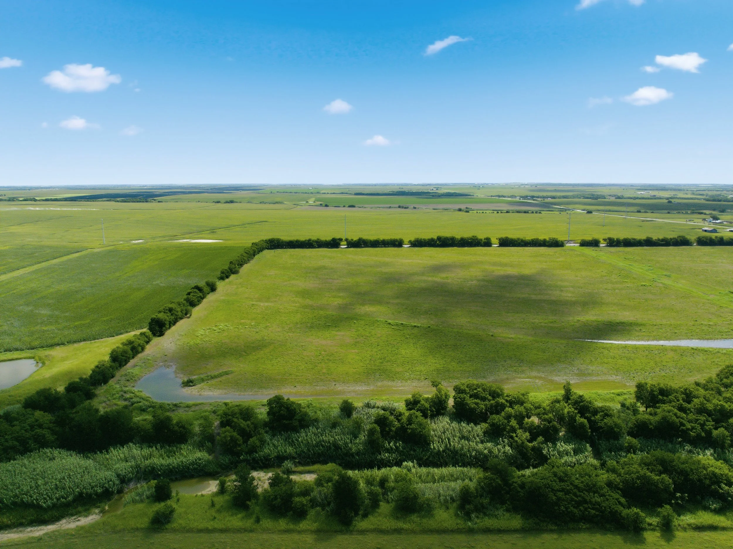 24-DJI_0709.jpg