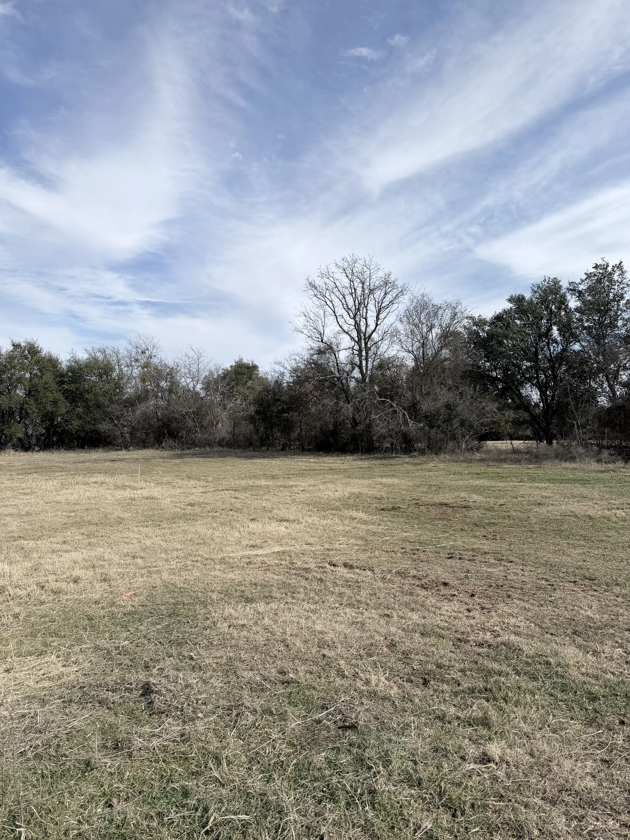 LW Lot 7 IMG_9439.jpeg