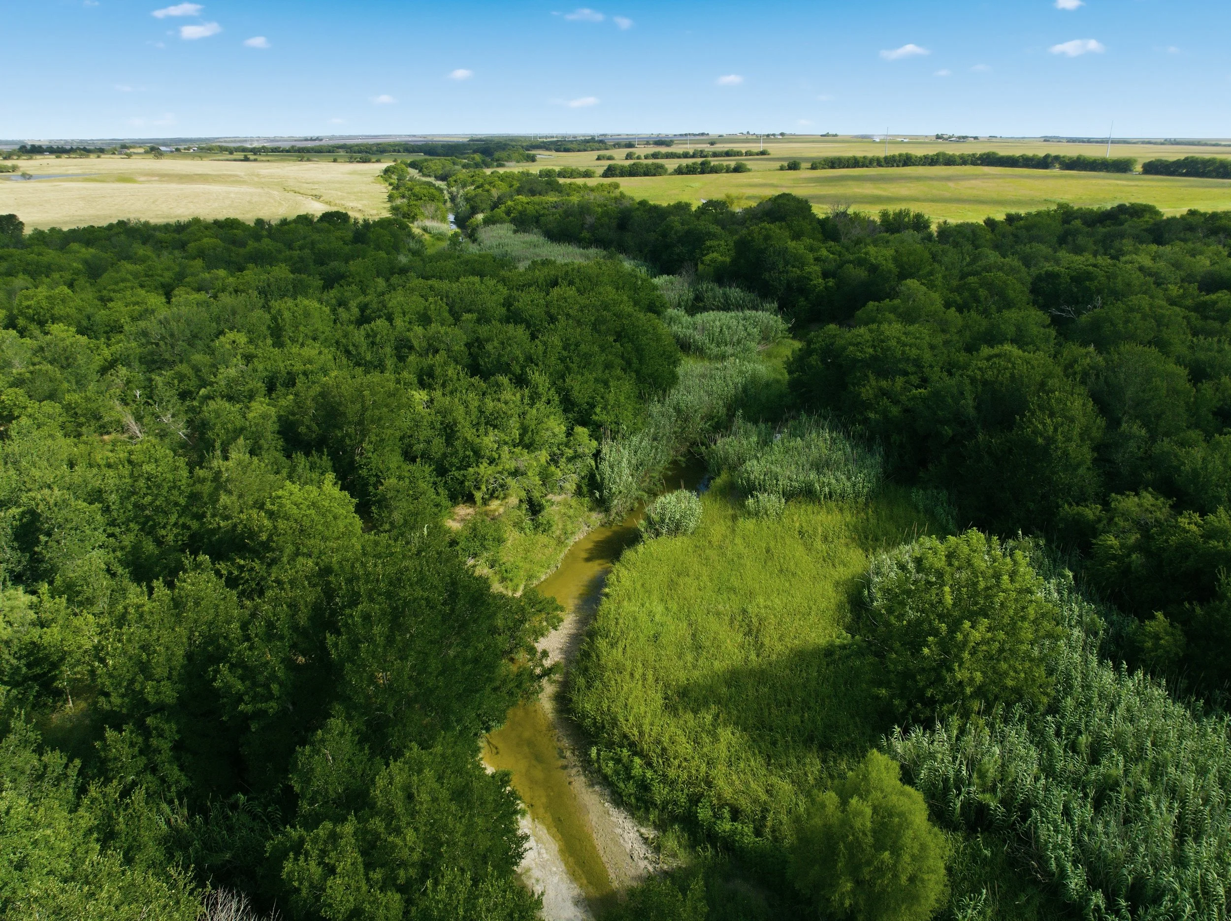 43-DJI_0692.jpg