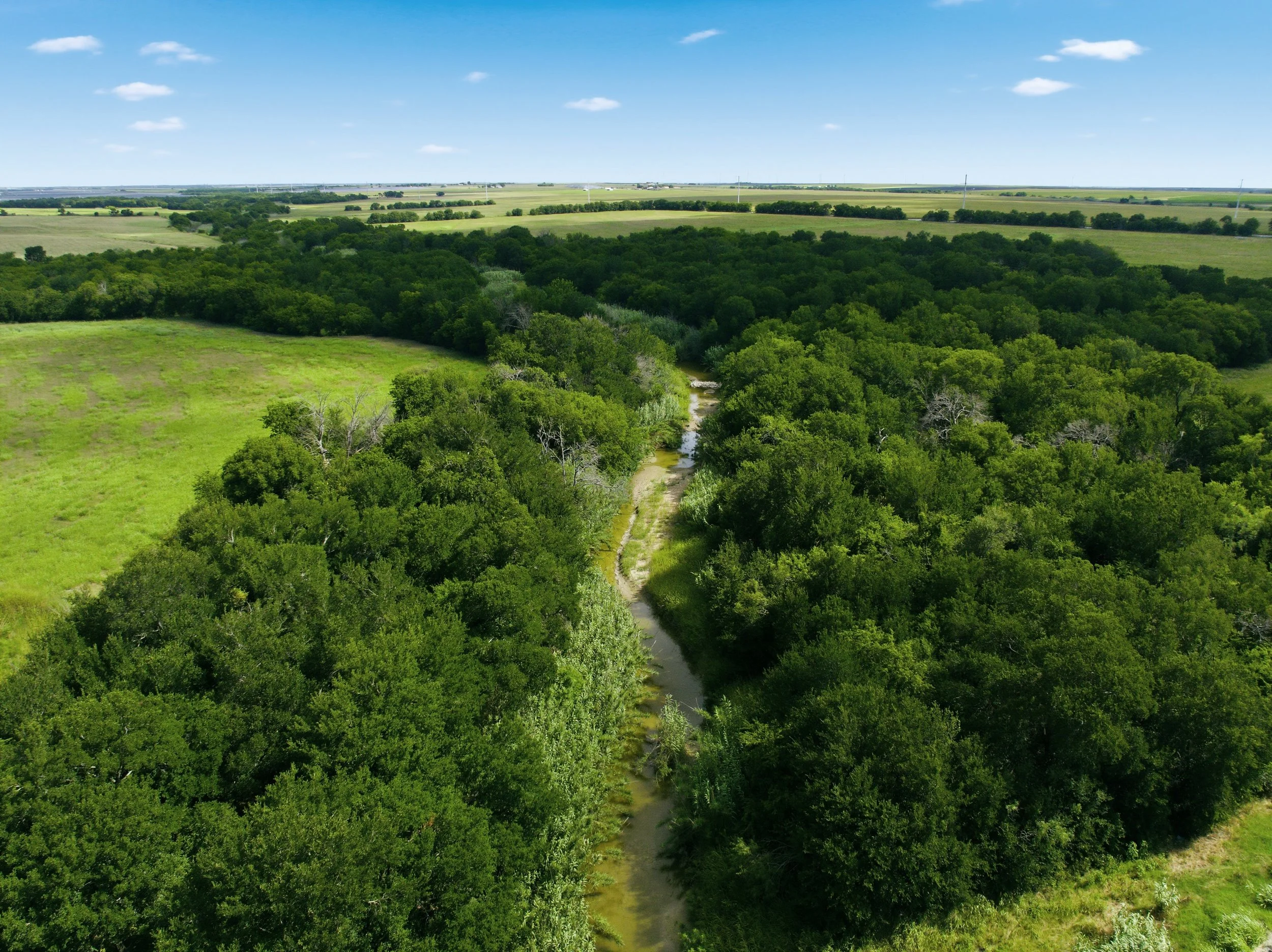 01-DJI_0721.jpg