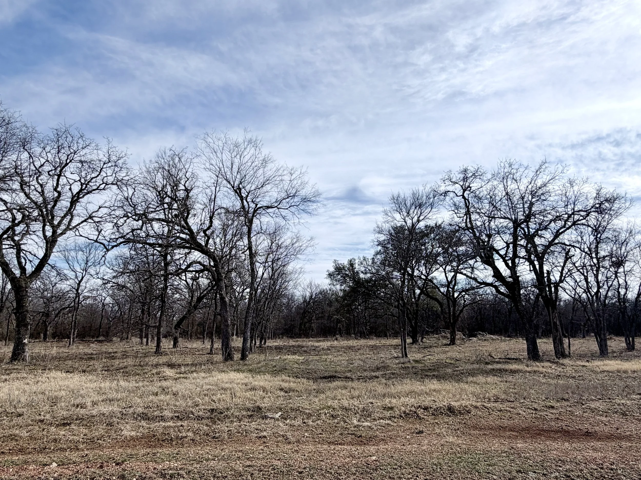 LW Lot 11 IMG_9454.jpeg