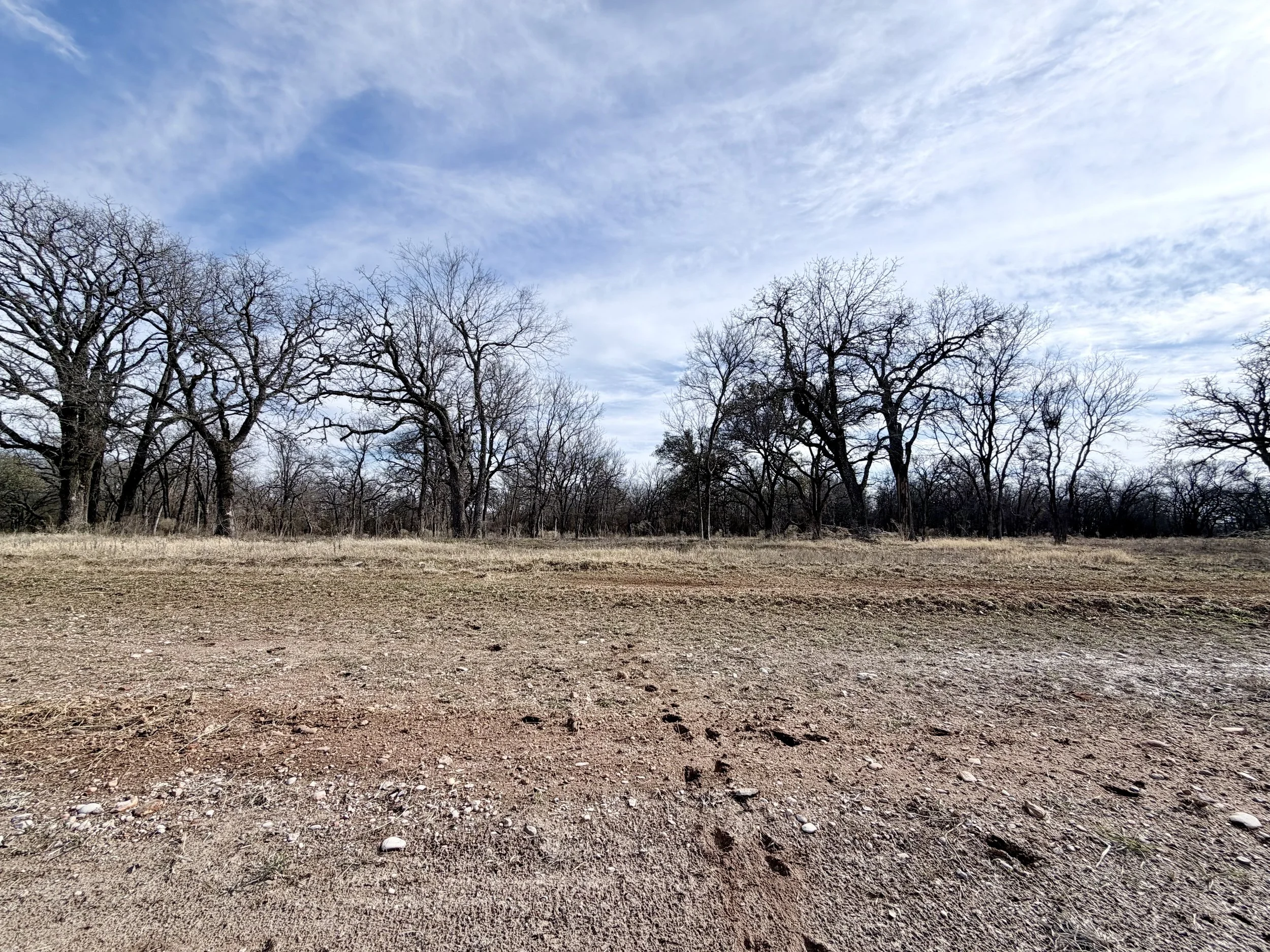 LW Lot 11 IMG_9456.jpeg