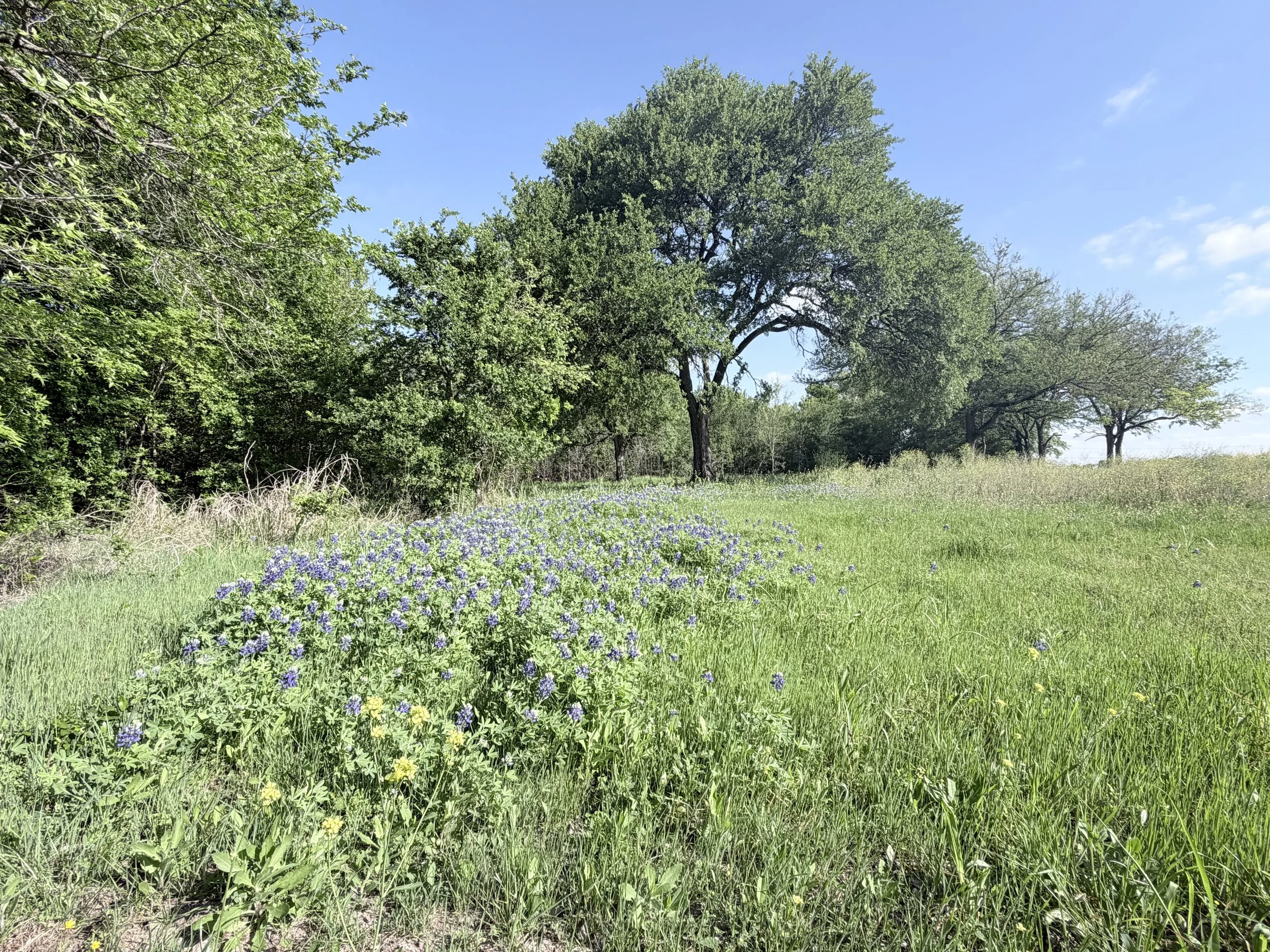 IMG_1276.jpeg