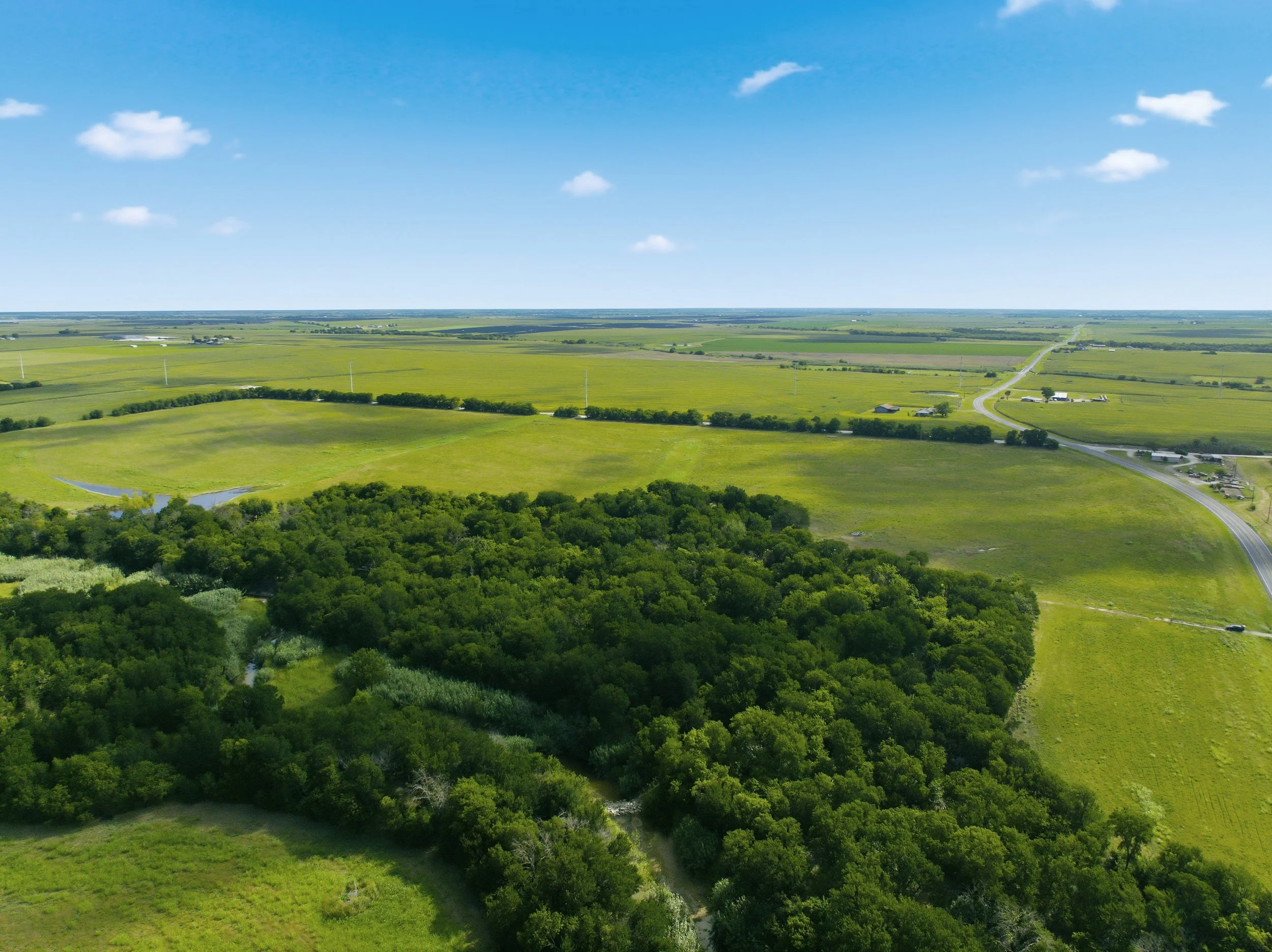 39-DJI_0687.jpg