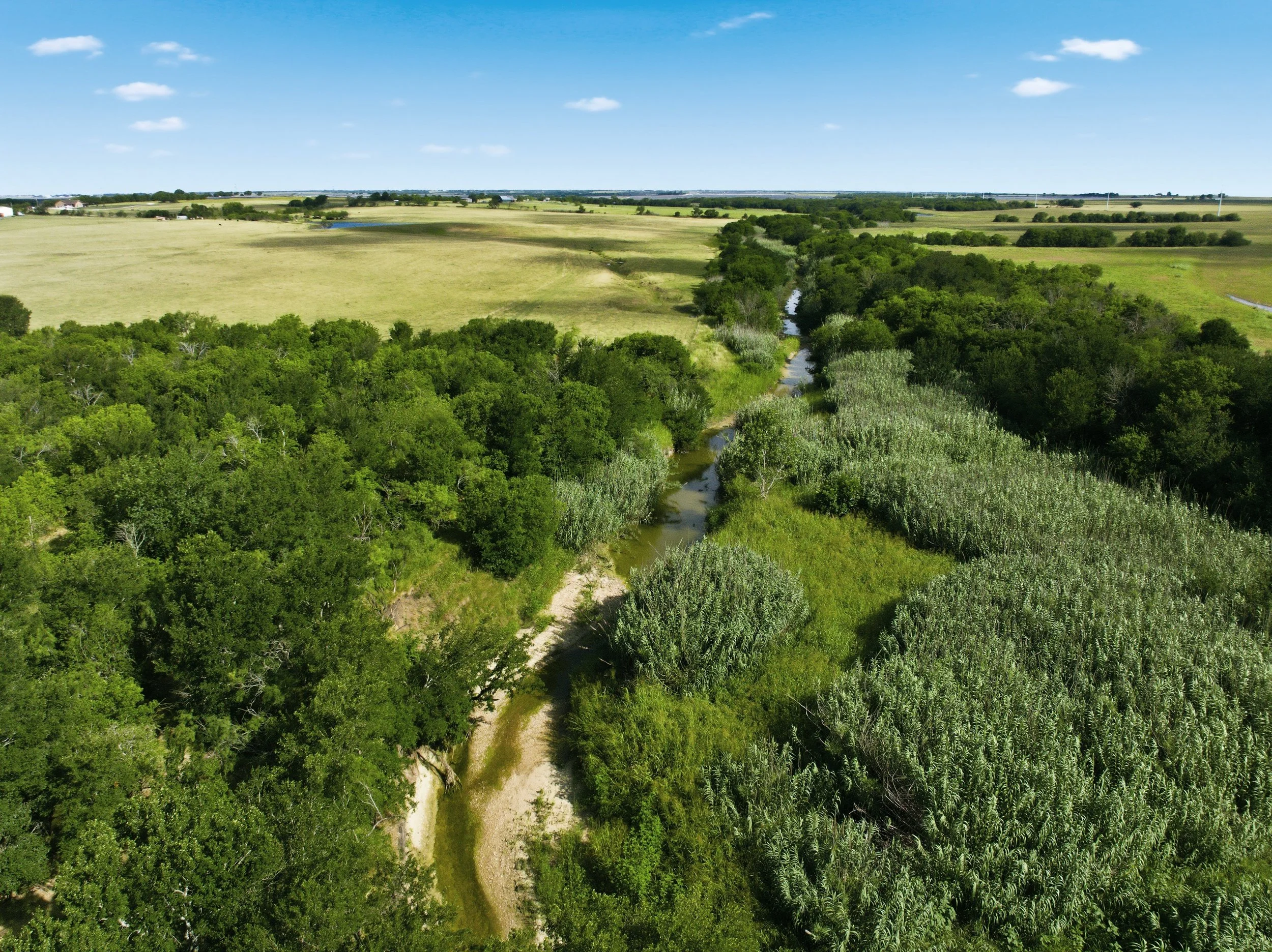 13-DJI_0696.jpg