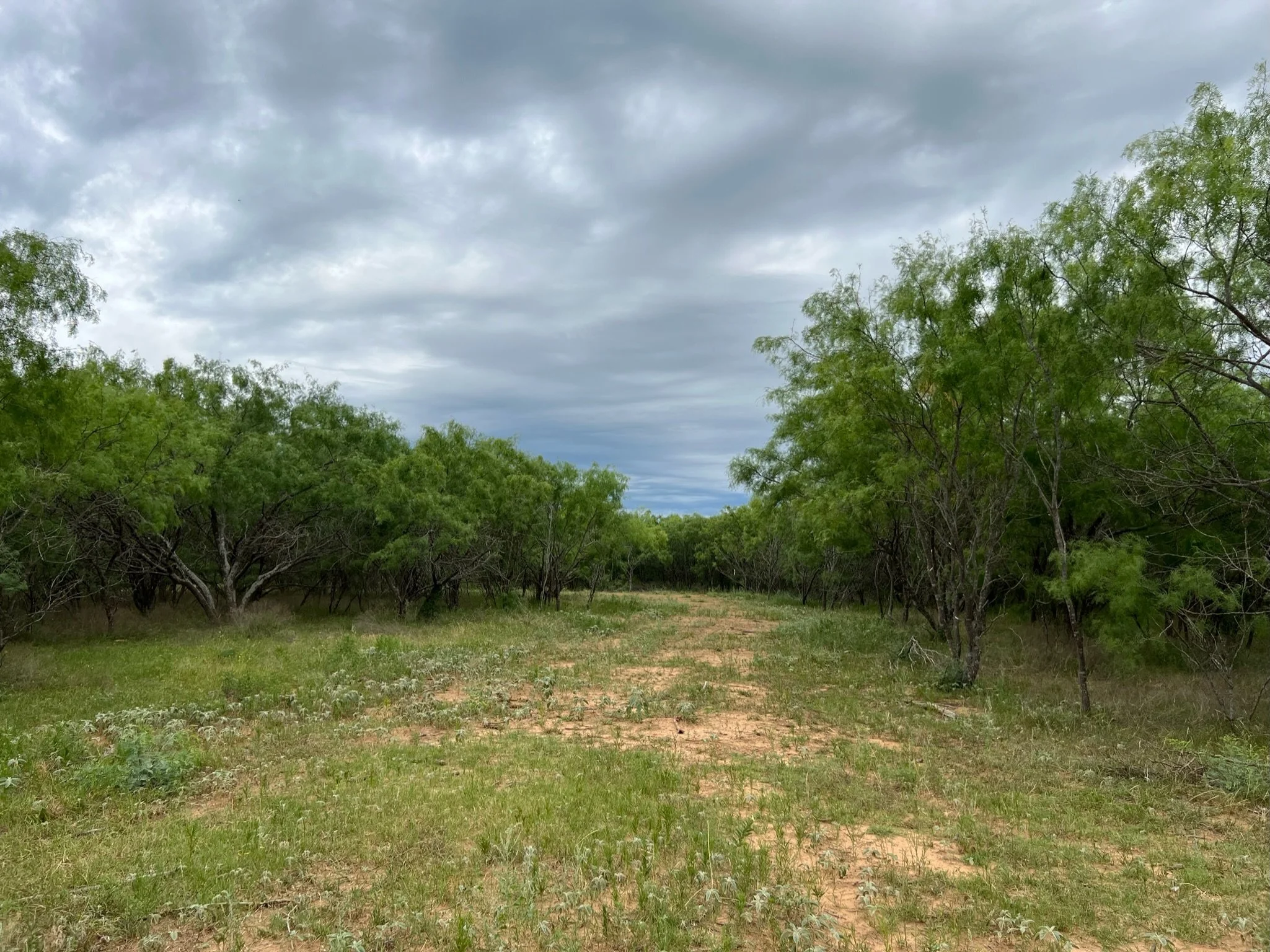 Subdivisions — Baker Elite