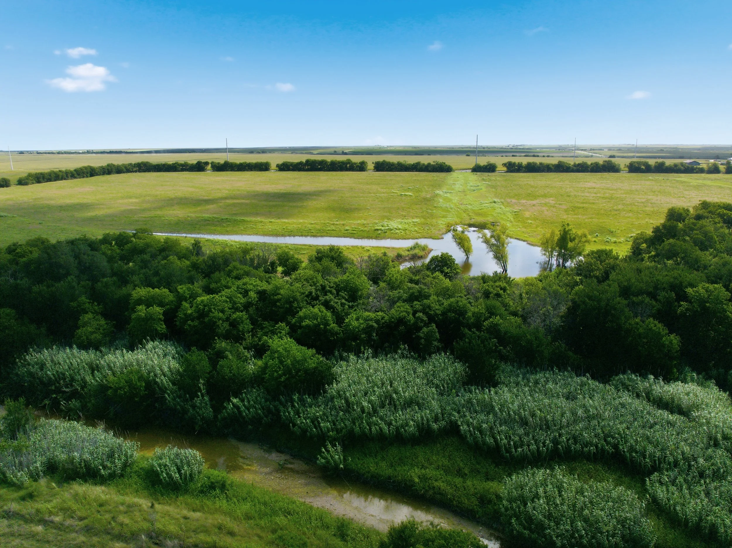 17-DJI_0700.jpg