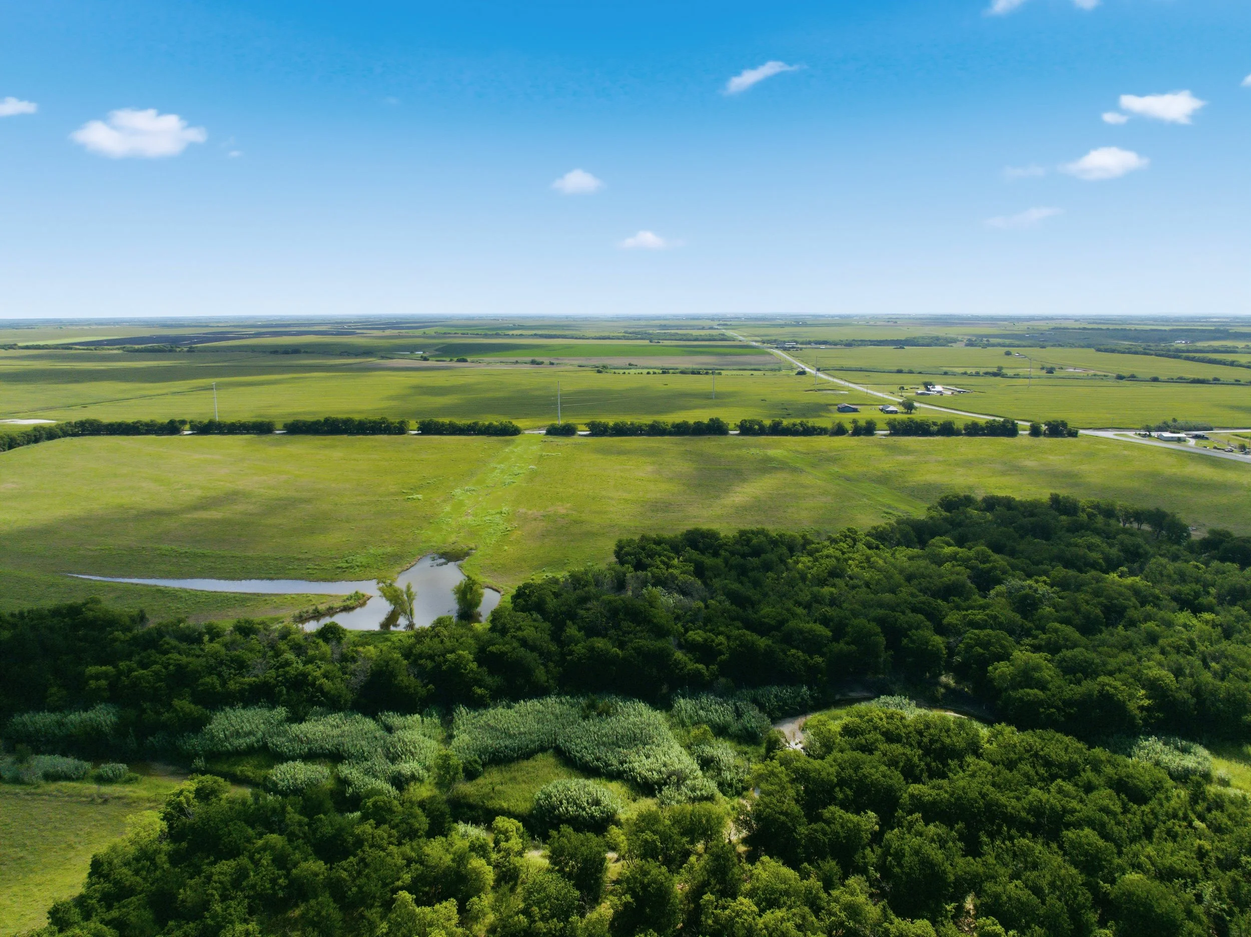 12-DJI_0695.jpg