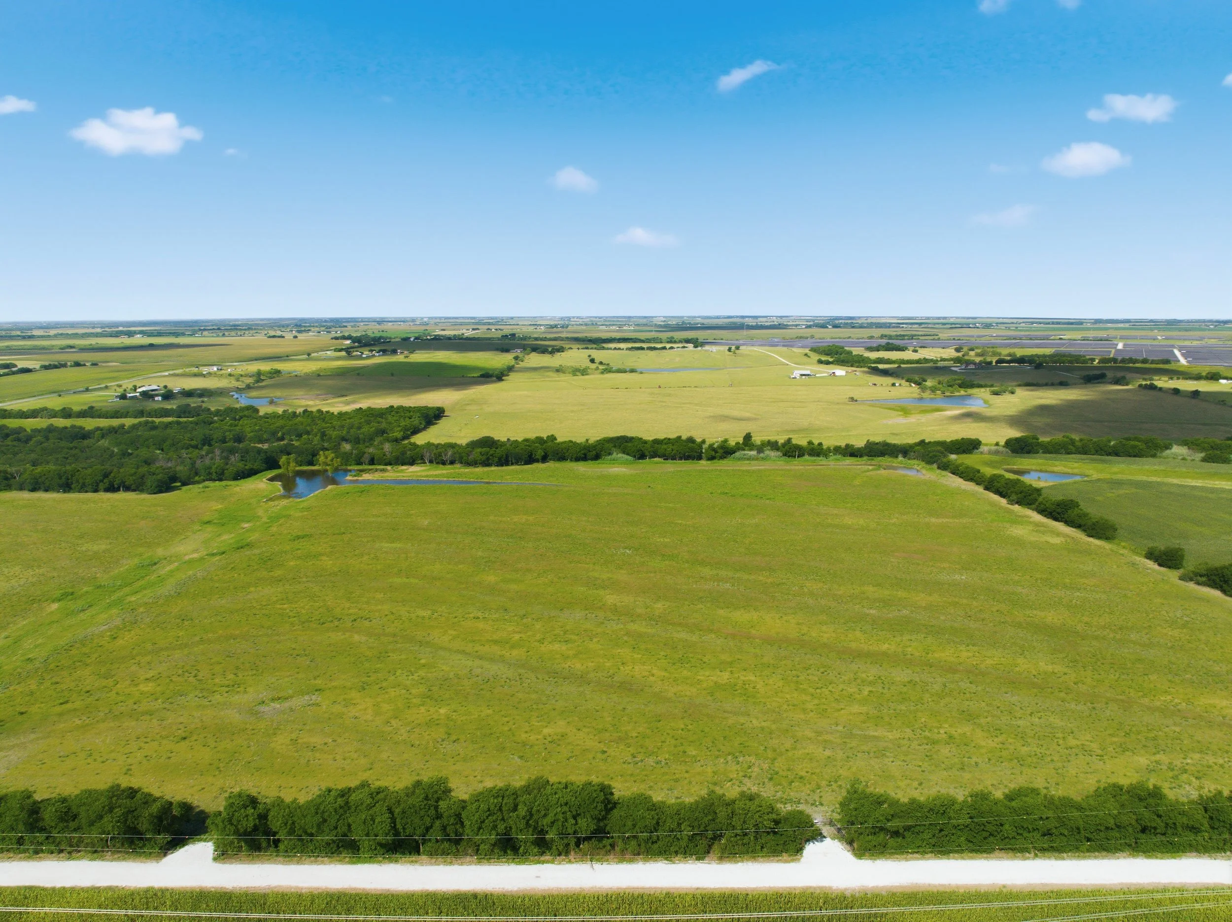 19-DJI_0703.jpg