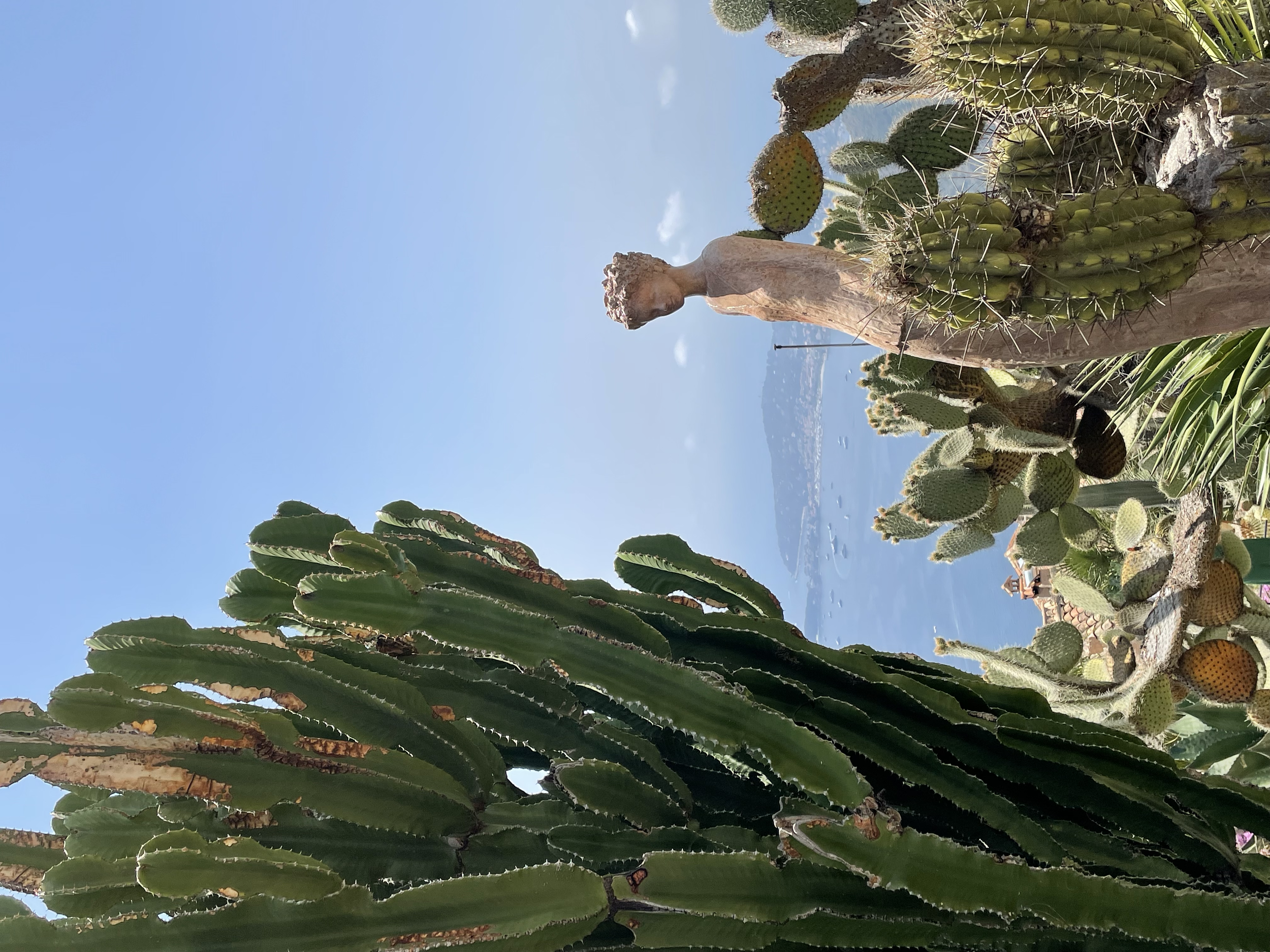 tempImageMVL54S.png