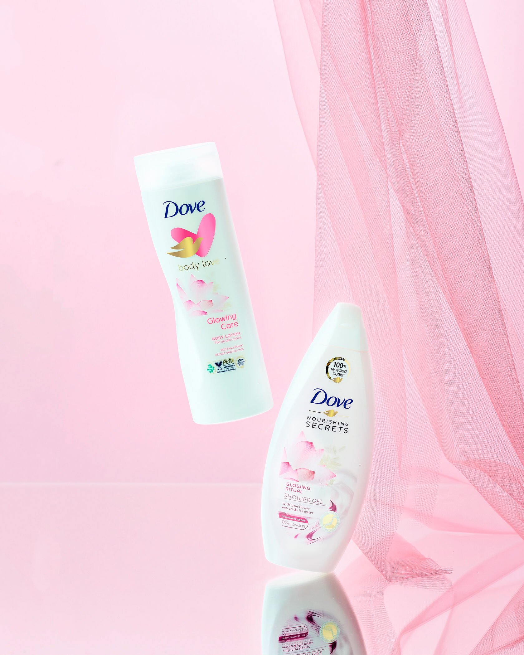 Dove-2022-jan-17-1.jpg