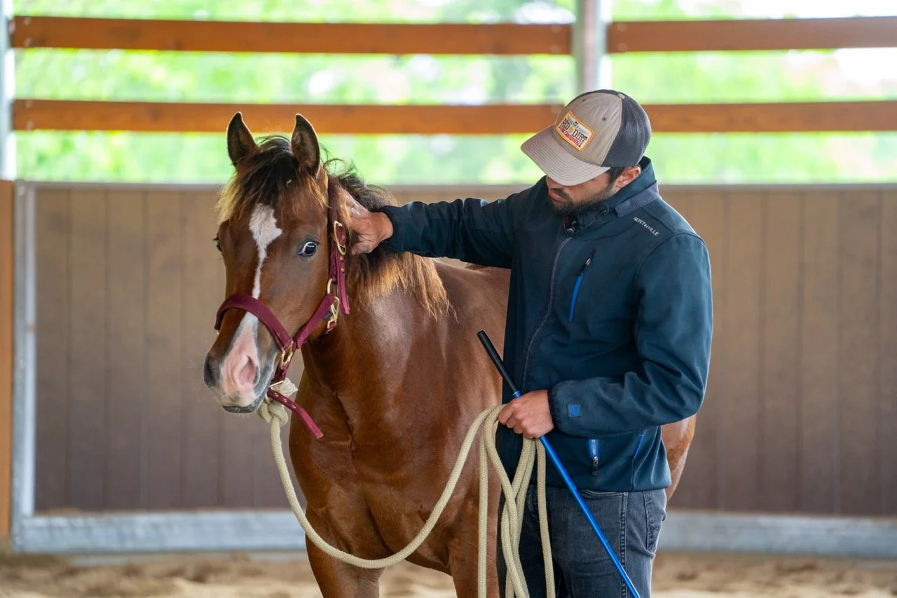 DSC06852 - dimensioni grandi.jpeg