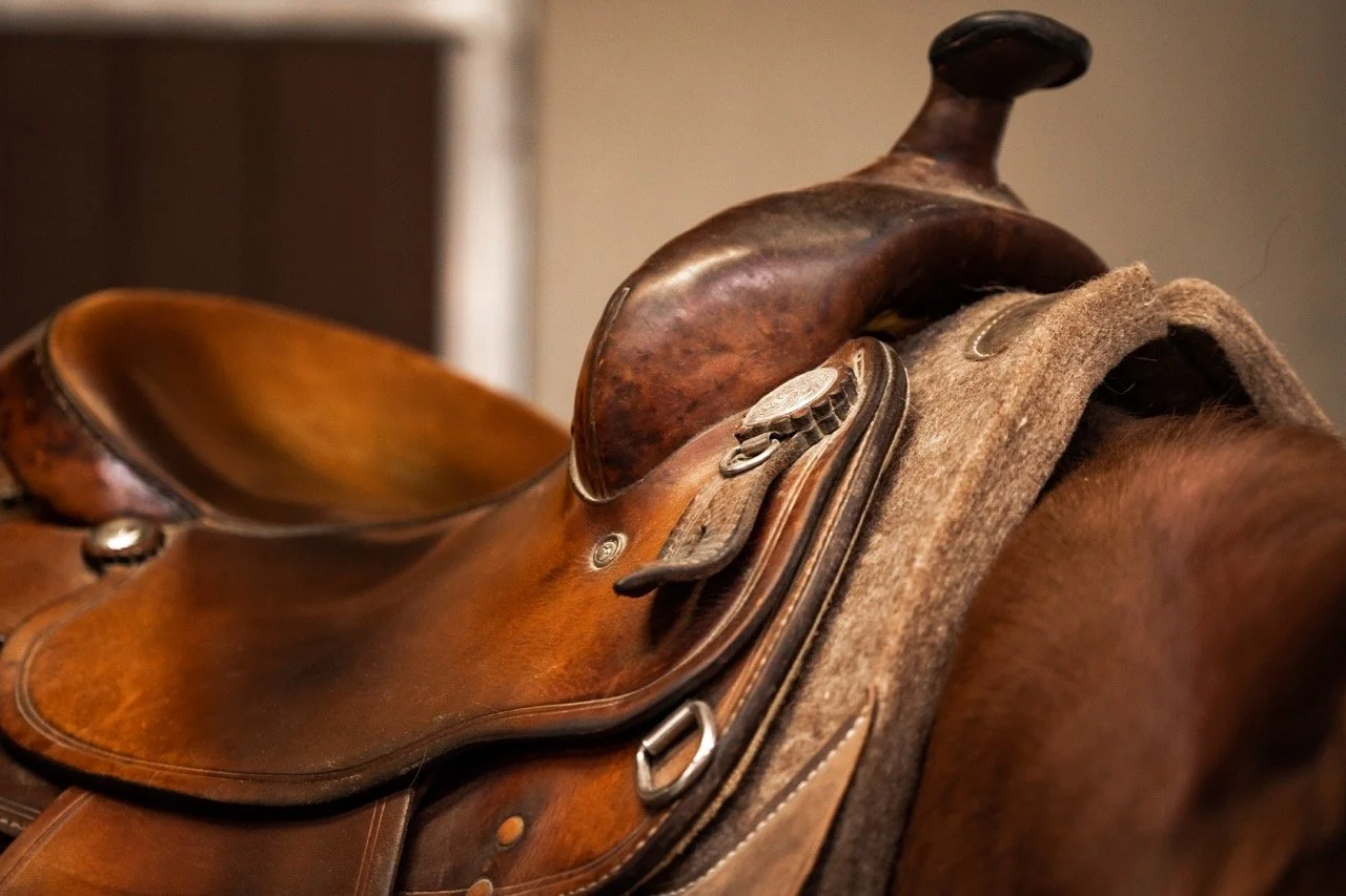 DSC05220 - dimensioni grandi.jpeg