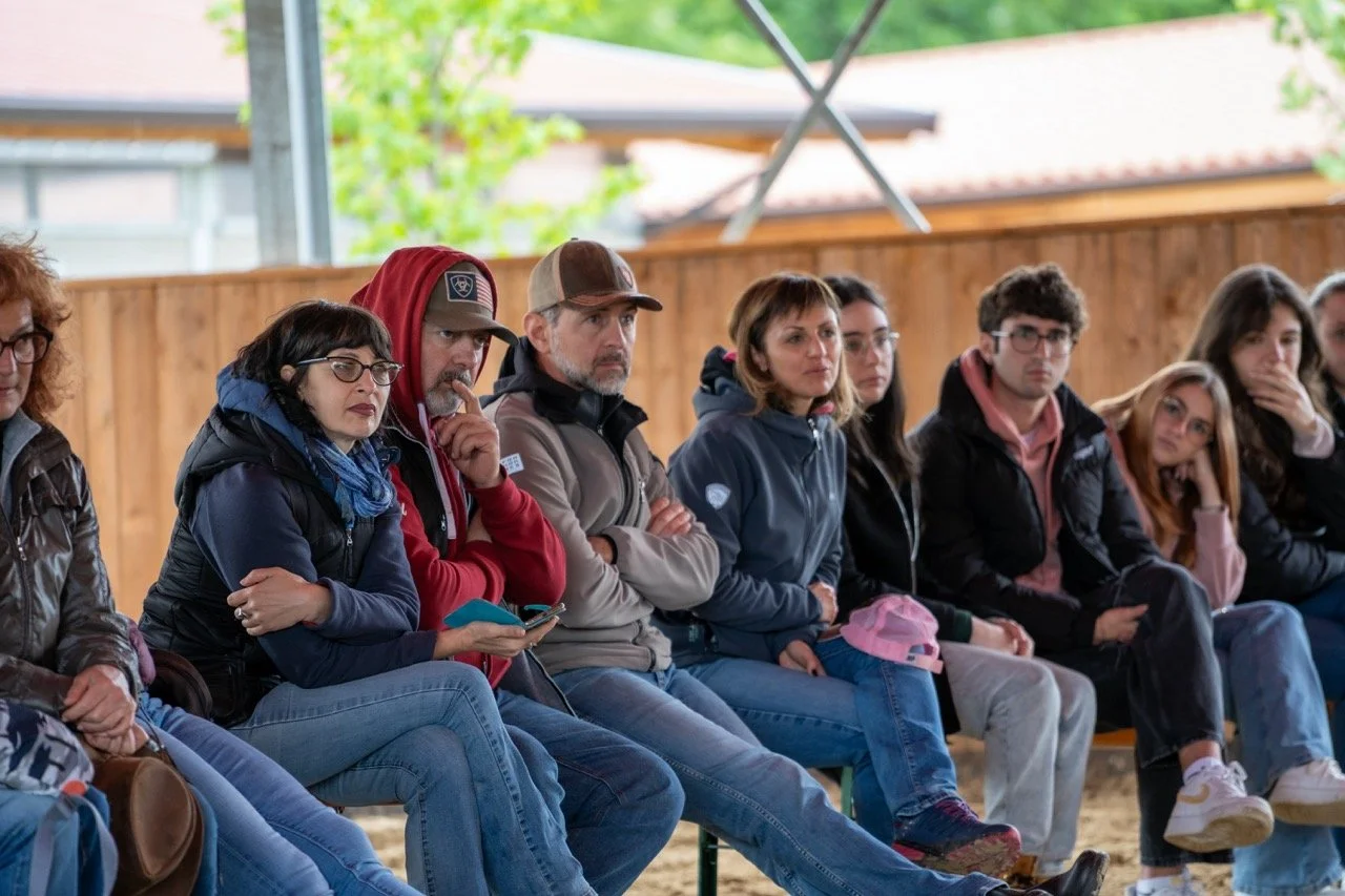 DSC06831 - dimensioni grandi.jpeg