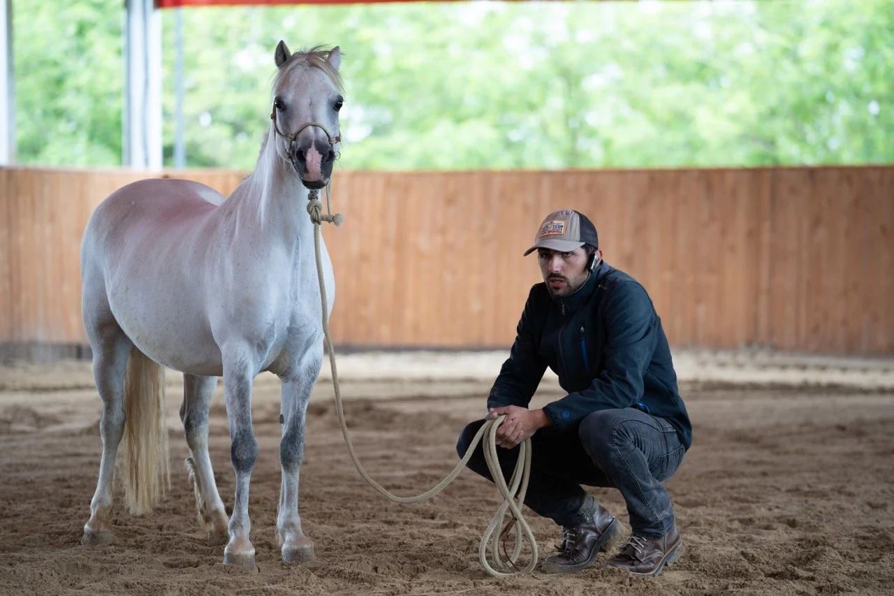 DSC06823 - dimensioni grandi.jpeg