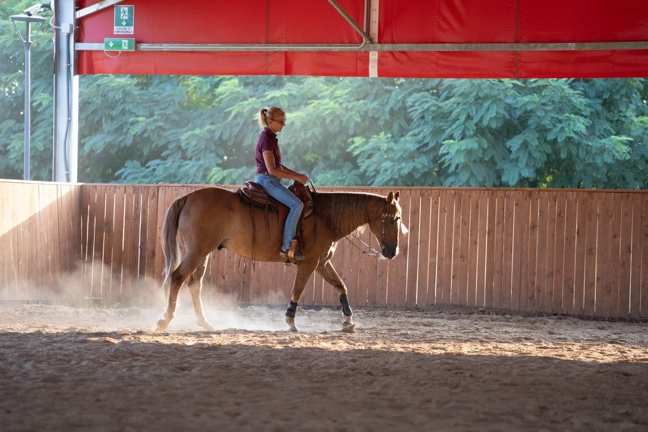 DSC08000 - dimensioni grandi.jpeg