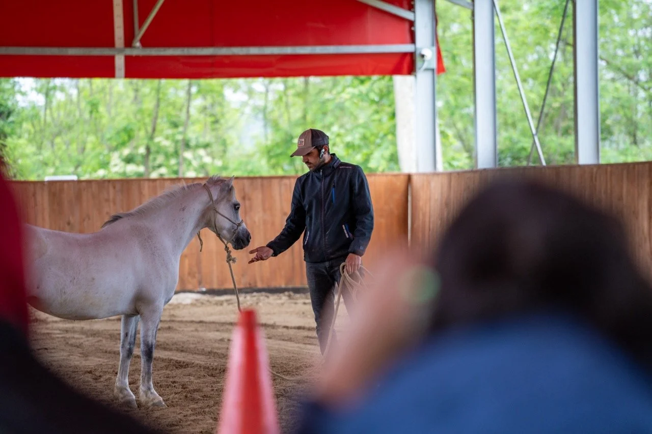 DSC06787 - dimensioni grandi.jpeg