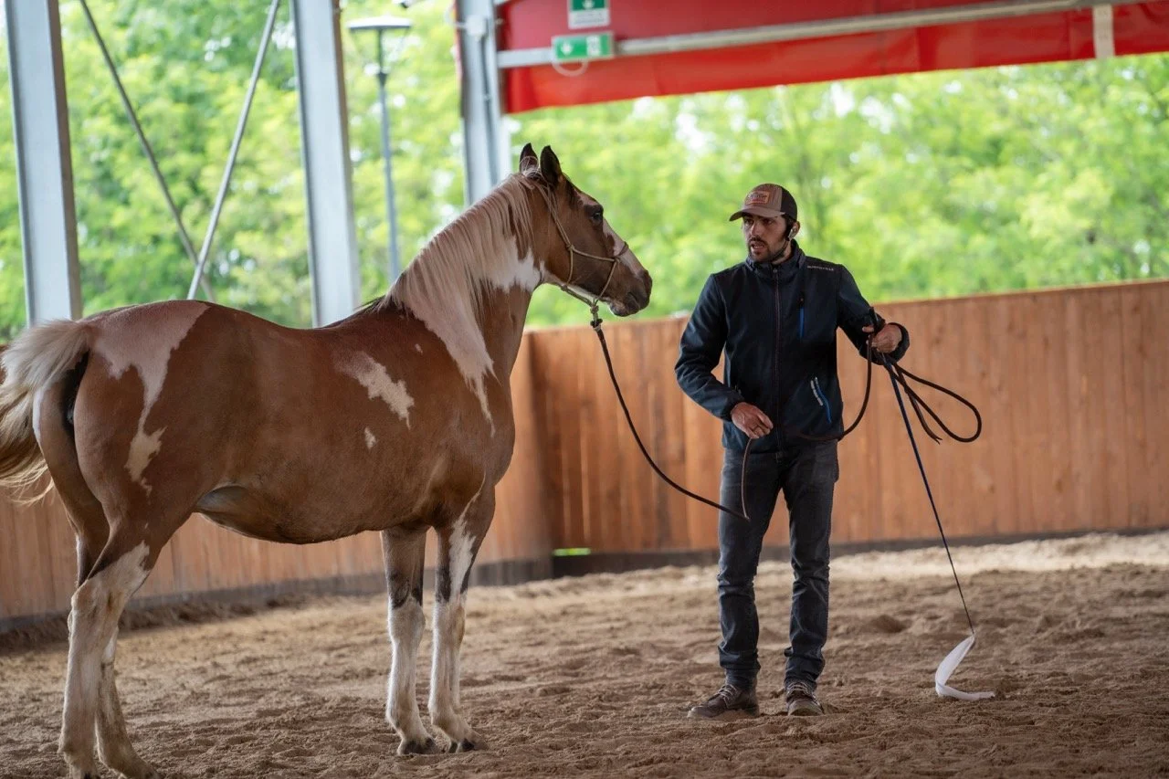DSC06904 - dimensioni grandi.jpeg