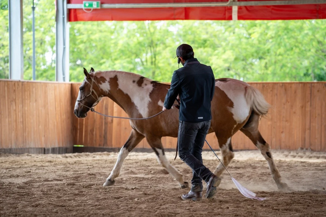 DSC06900 - dimensioni grandi.jpeg