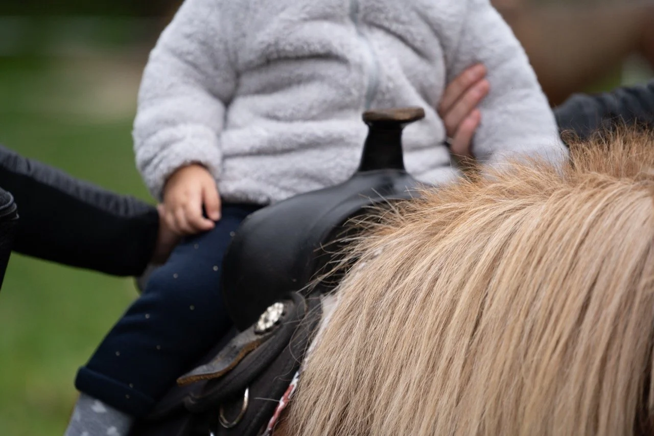 DSC04222 - dimensioni grandi.jpeg